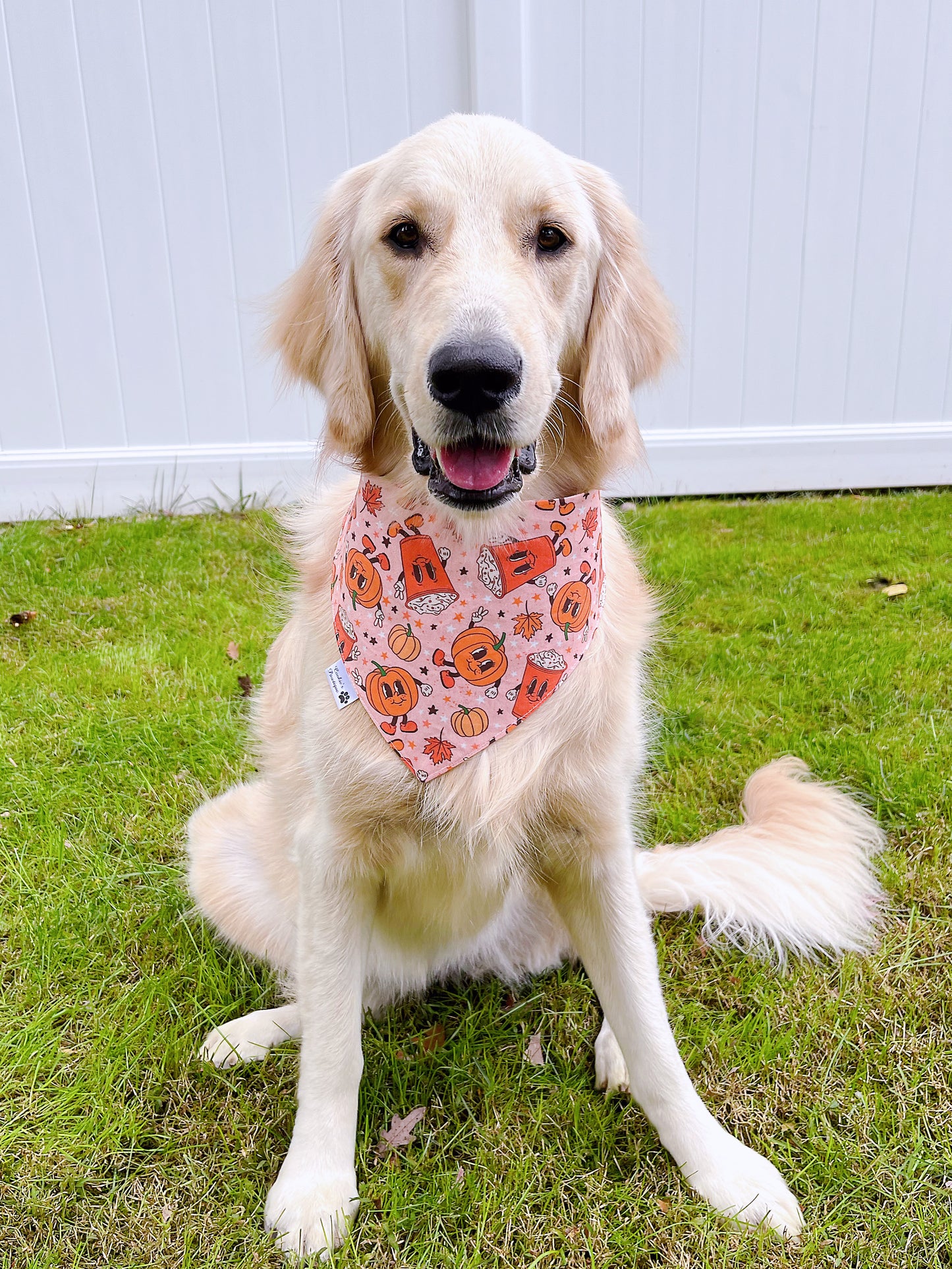 Vintage Thanksgiving Pies and Pumpkin Spice Bandana