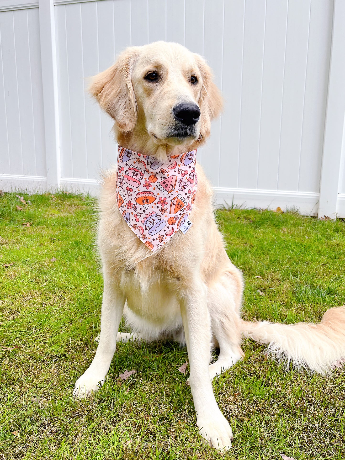 Vintage Thanksgiving Pies and Pumpkin Spice Bandana