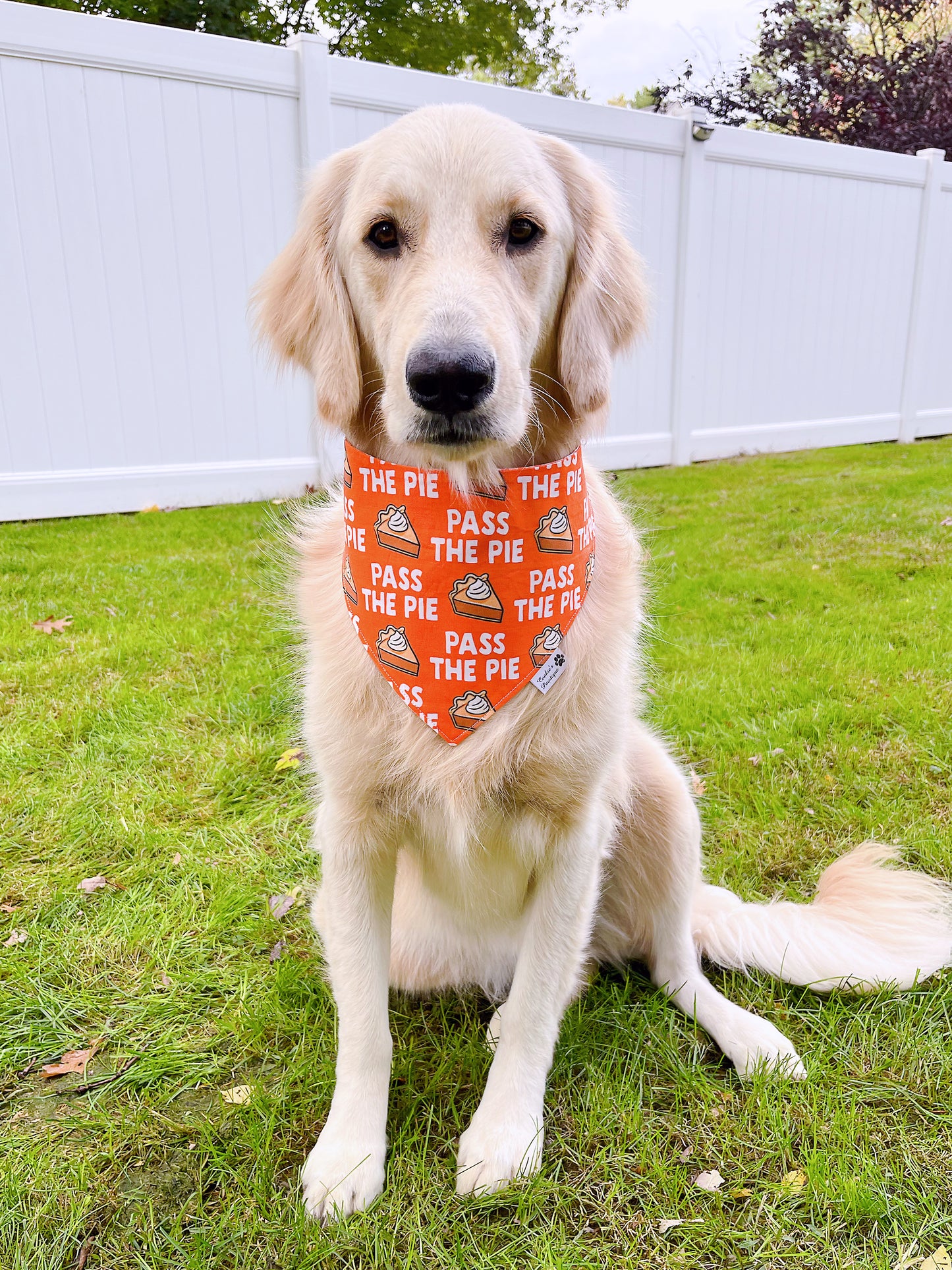 Pass The Pie Bandana