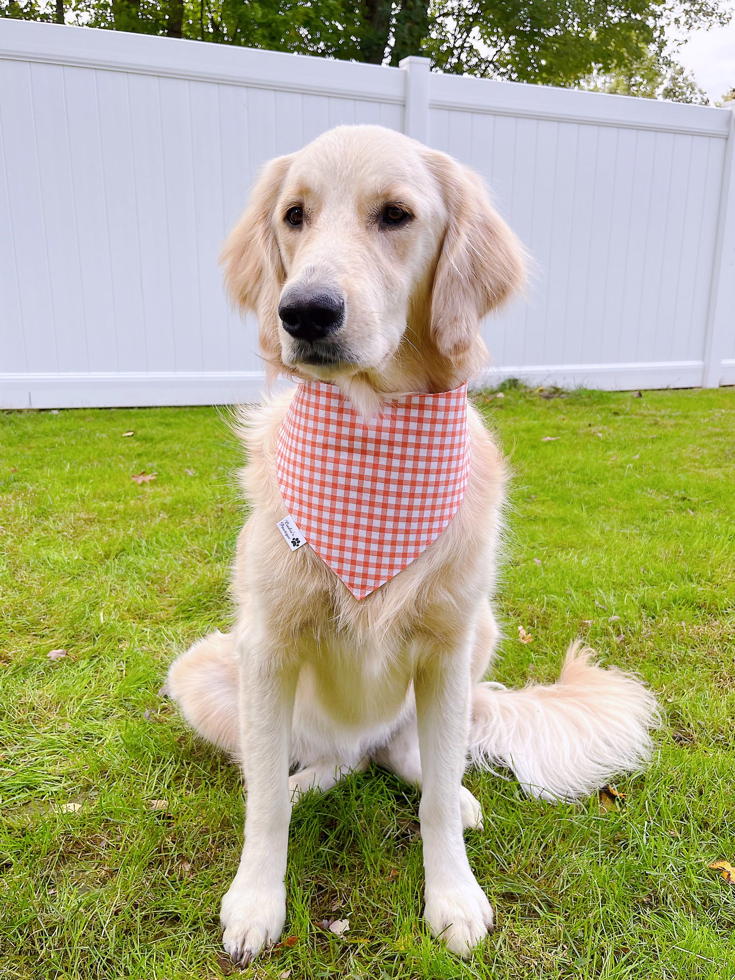 Pass The Pie Bandana