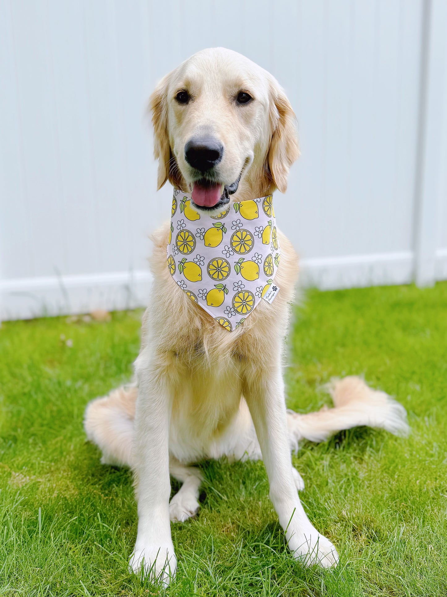 Lemon Spritz Bandana