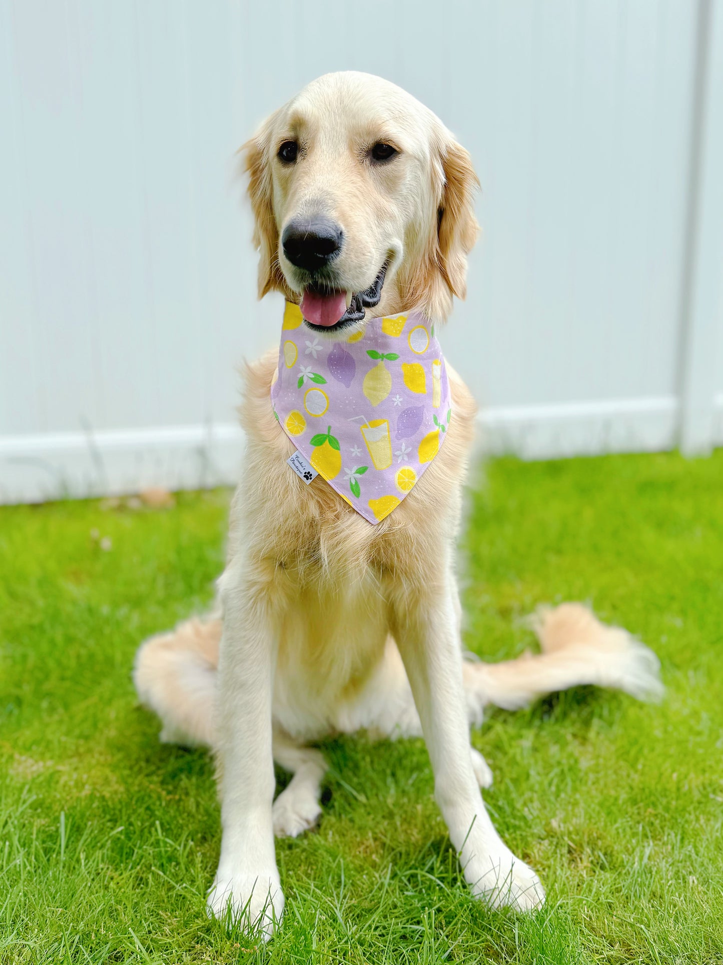 Lemon Spritz Bandana