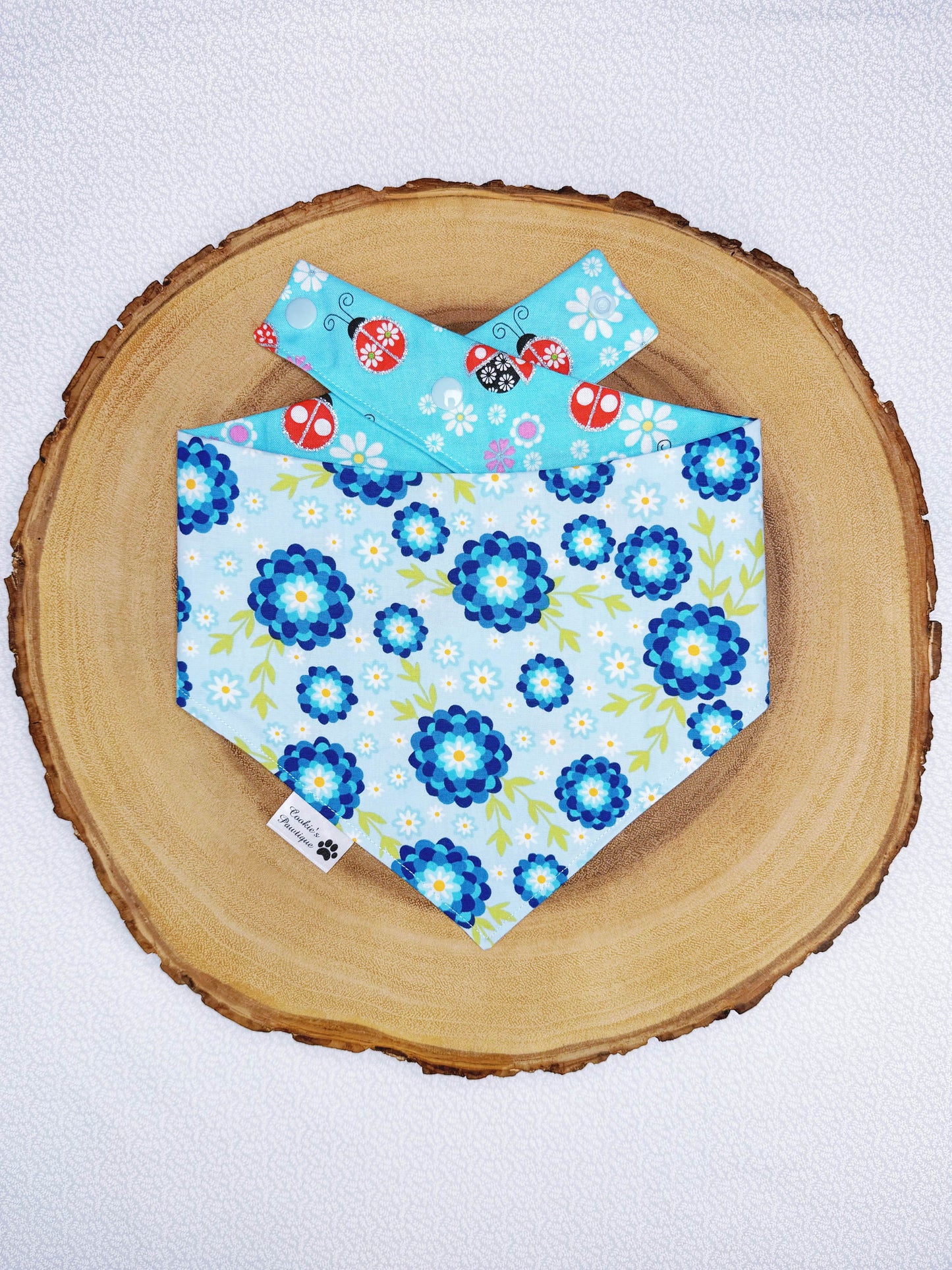 Ladybugs and Floral Bandana