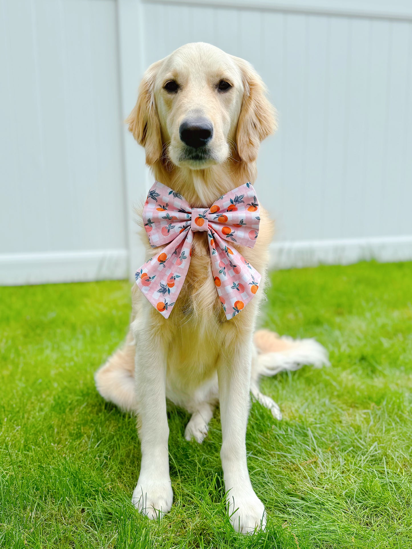 Peaches On Orange Plaid Bow