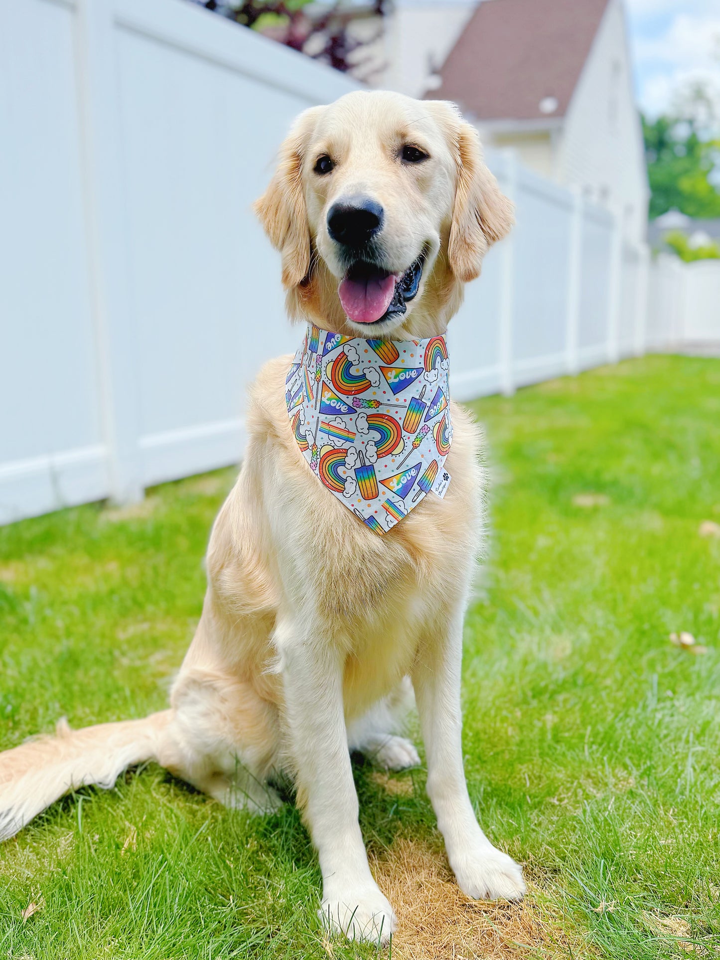 Love Rainbow And Popsicle Bandana