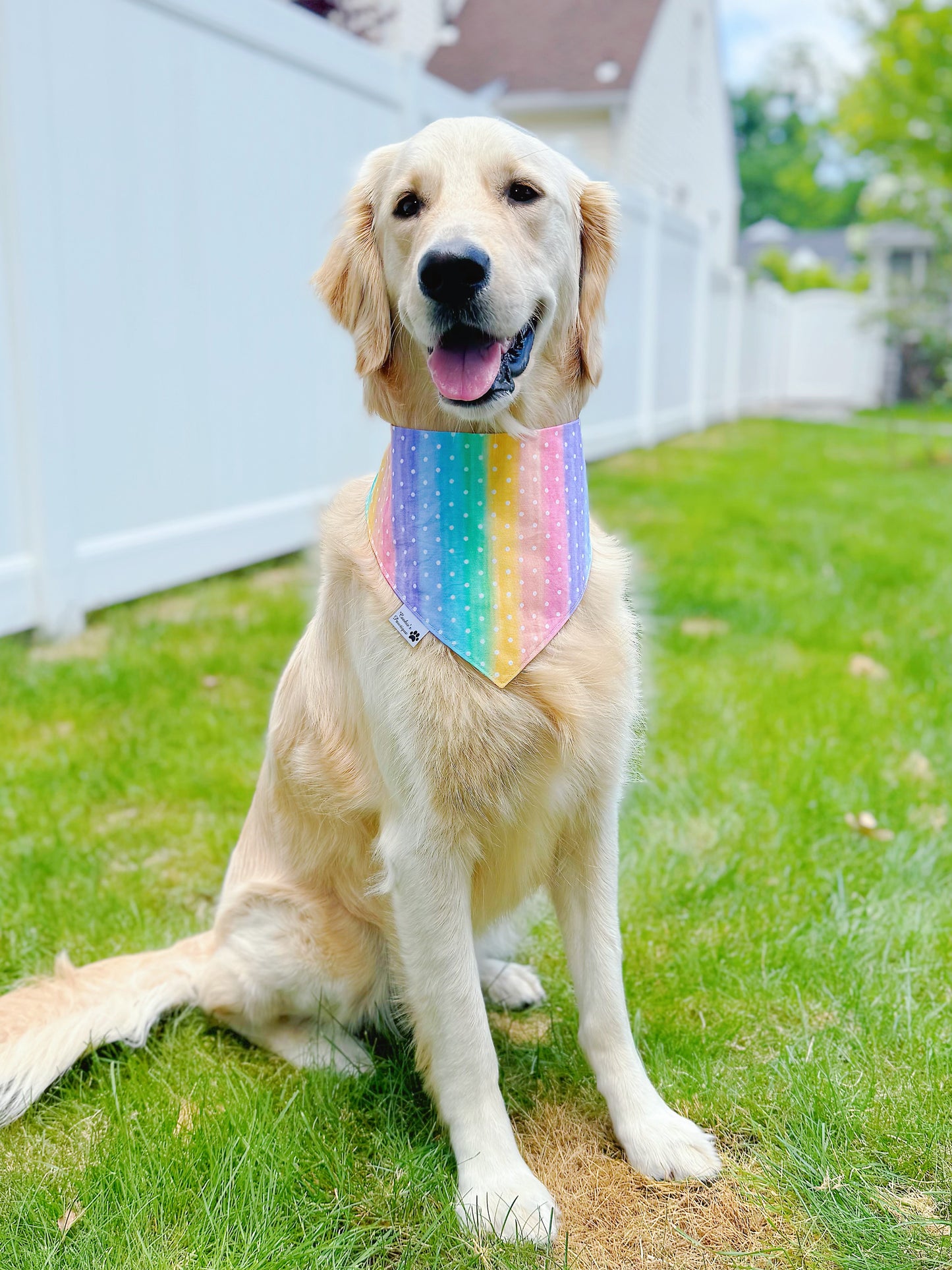 Love Rainbow And Popsicle Bandana