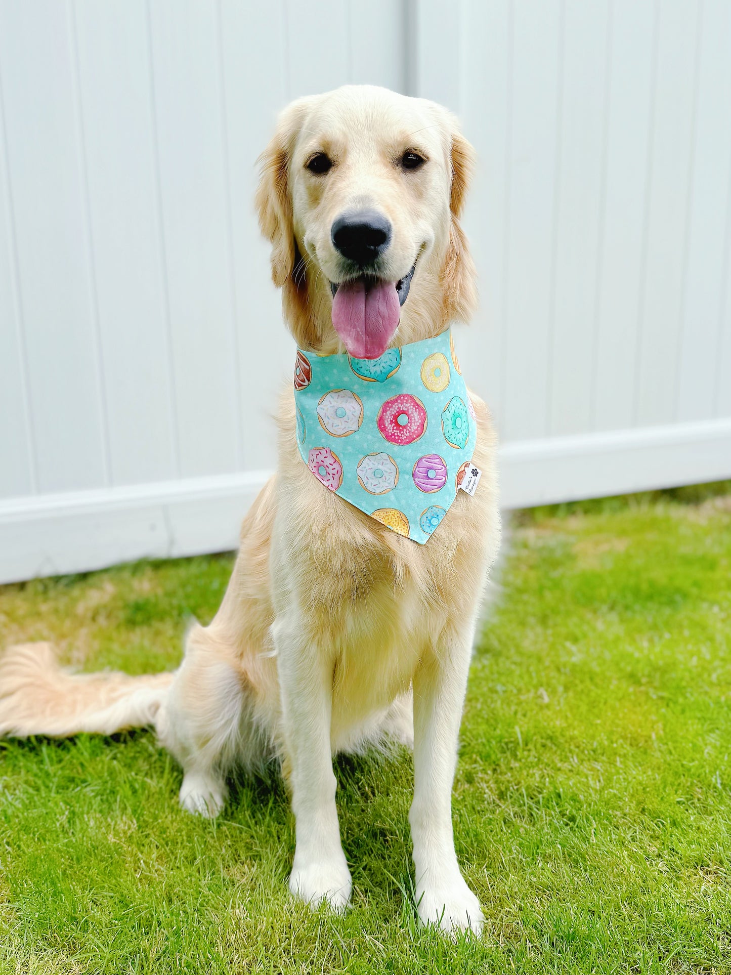 Colorful Donuts Bandana