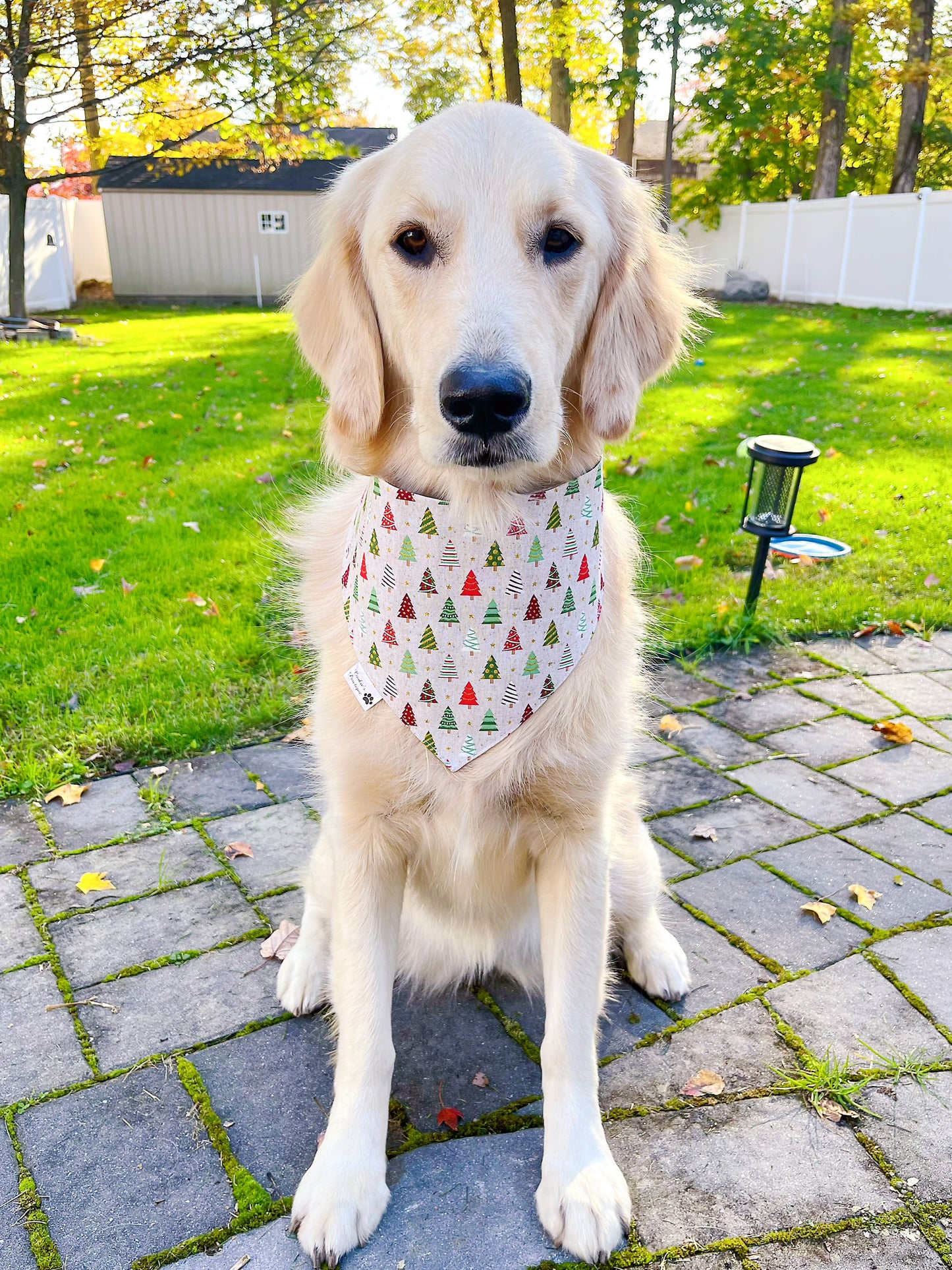 Glitter Plaid and Trees Christmas Bandana