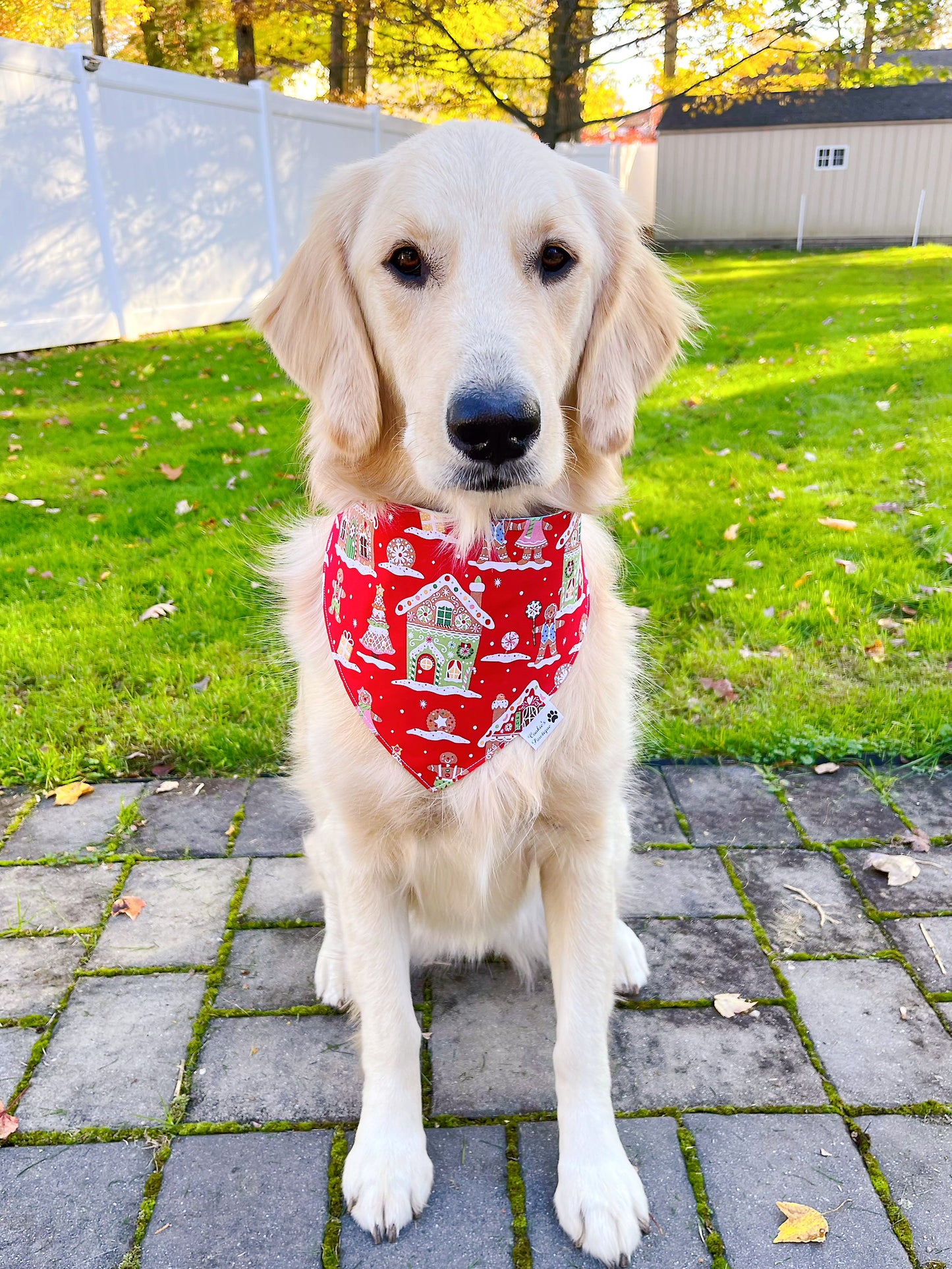 Gingerbread House And Peppermint Candies Bandana