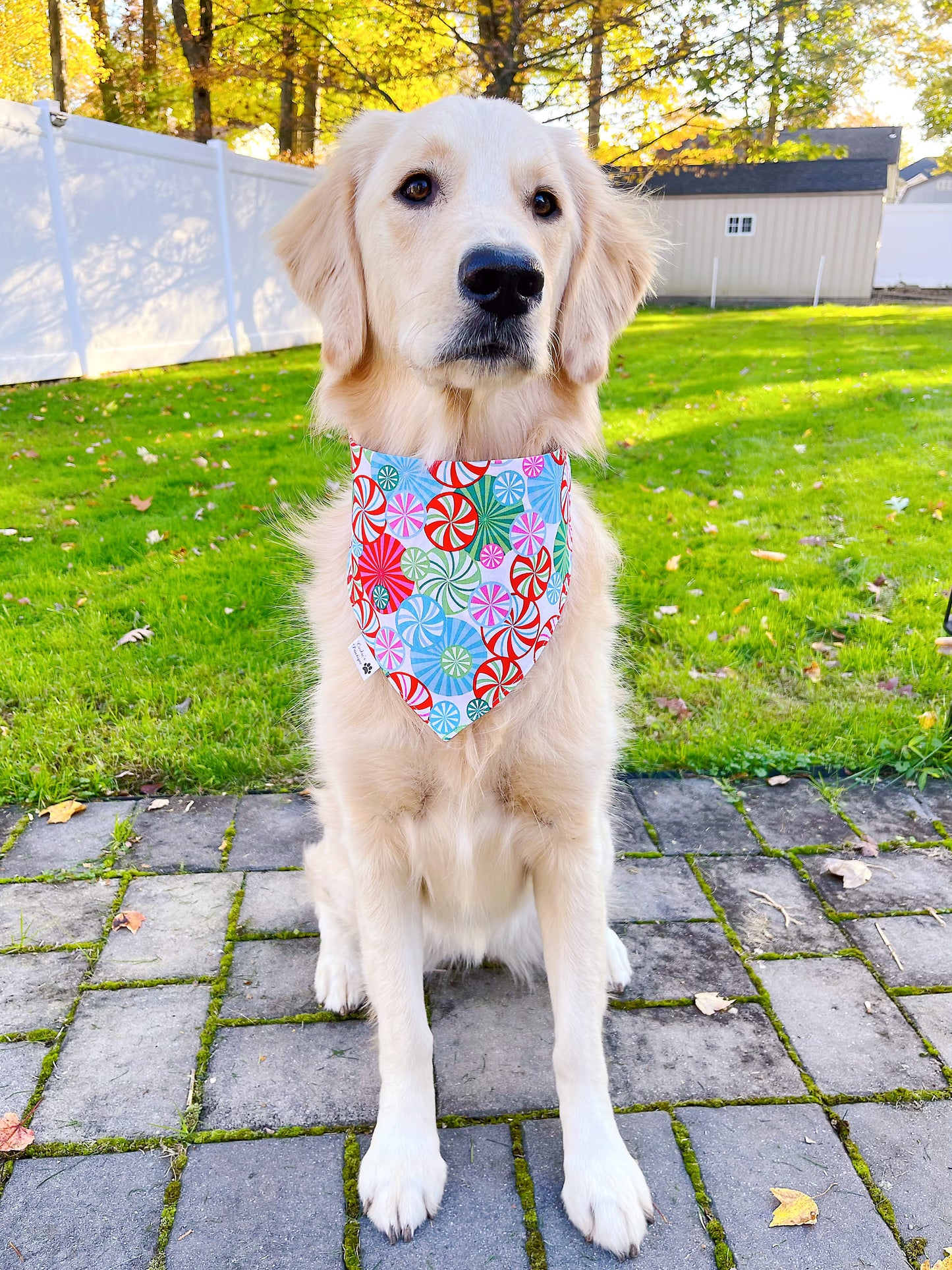 Gingerbread House And Peppermint Candies Bandana
