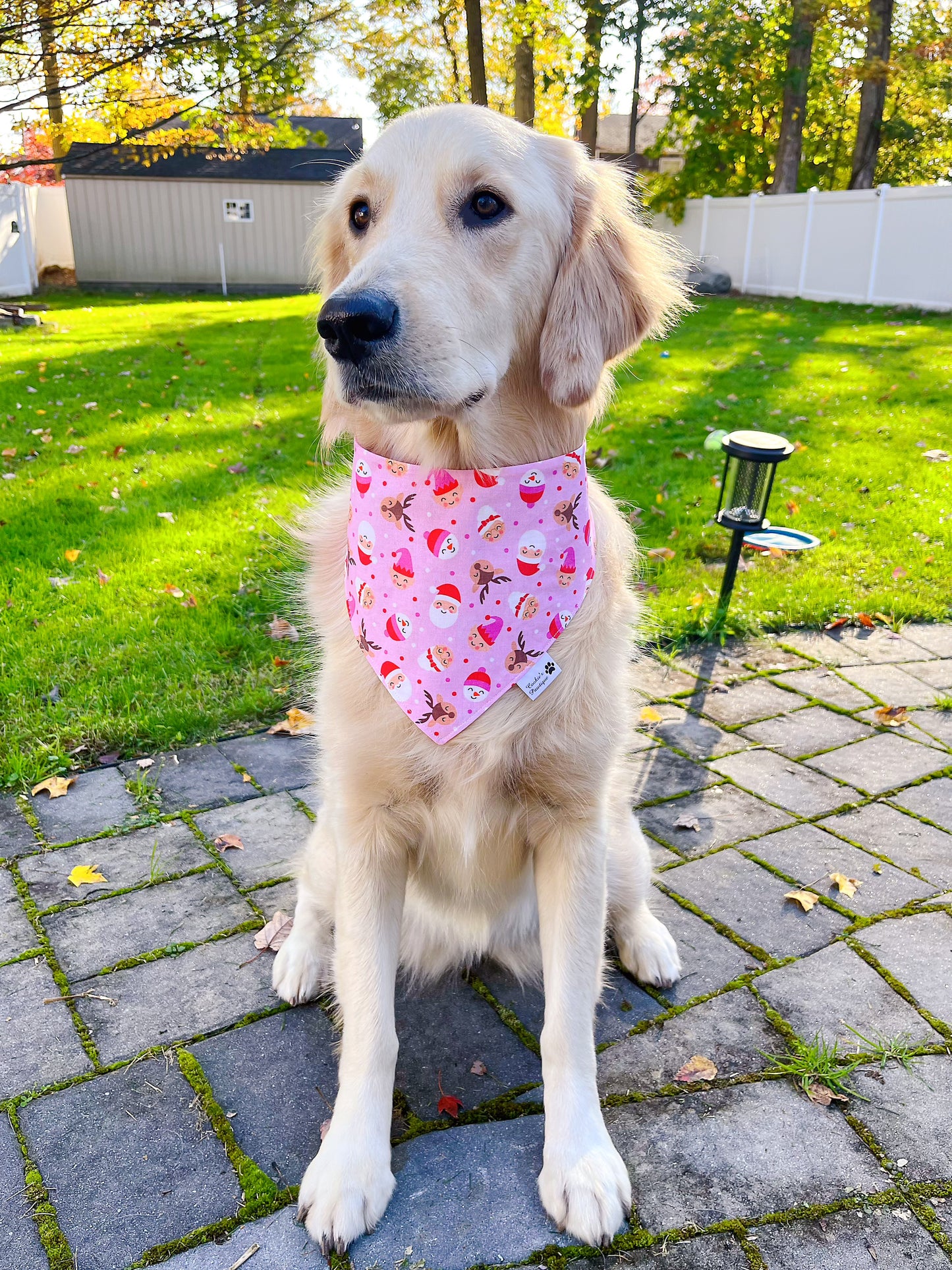 Pink Christmas Bandana