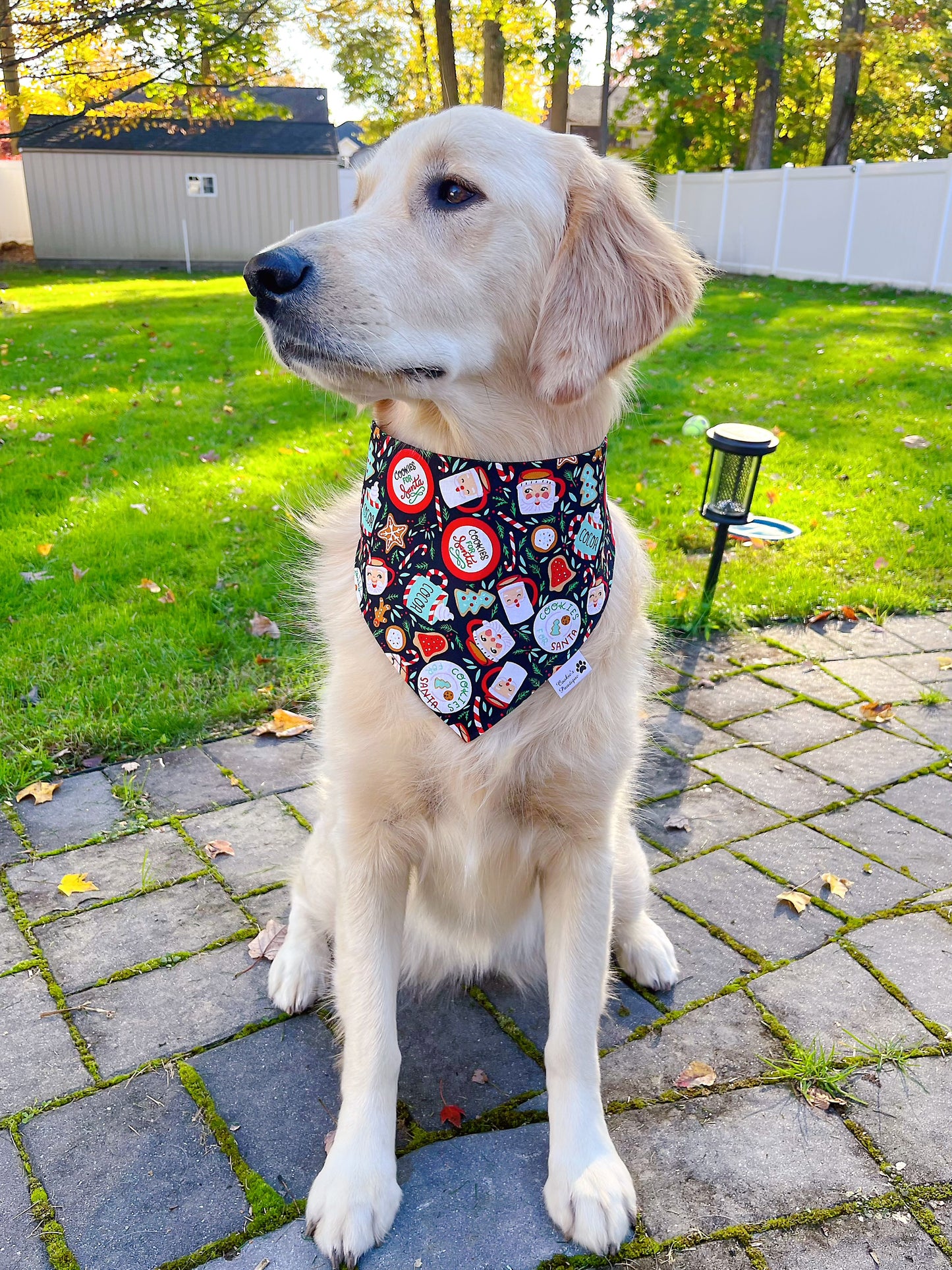 Cookies For Santa Bandana