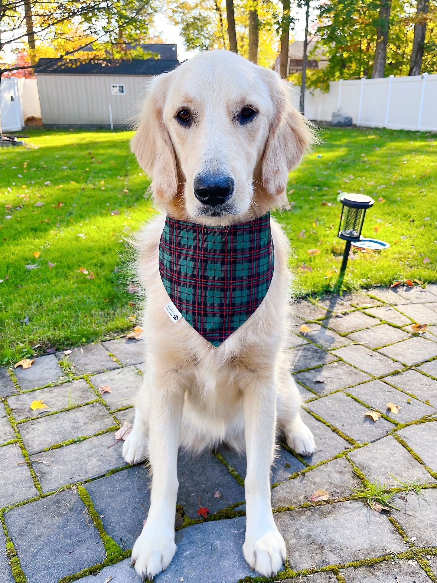 Cookies For Santa Bandana