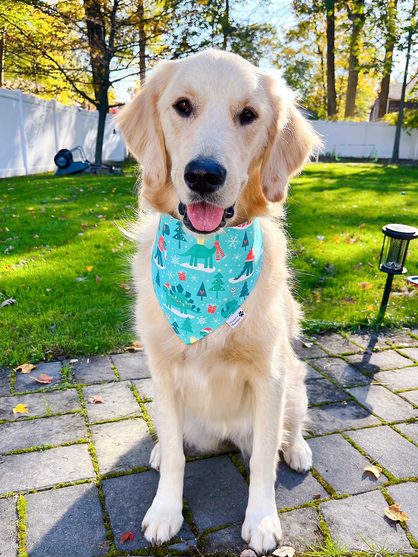 Christmas Dinos Bandana