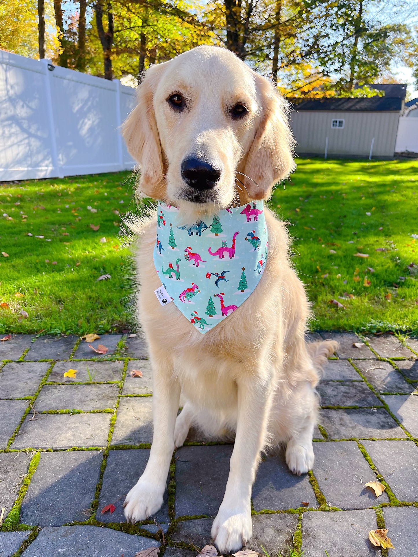 Christmas Dinos Bandana
