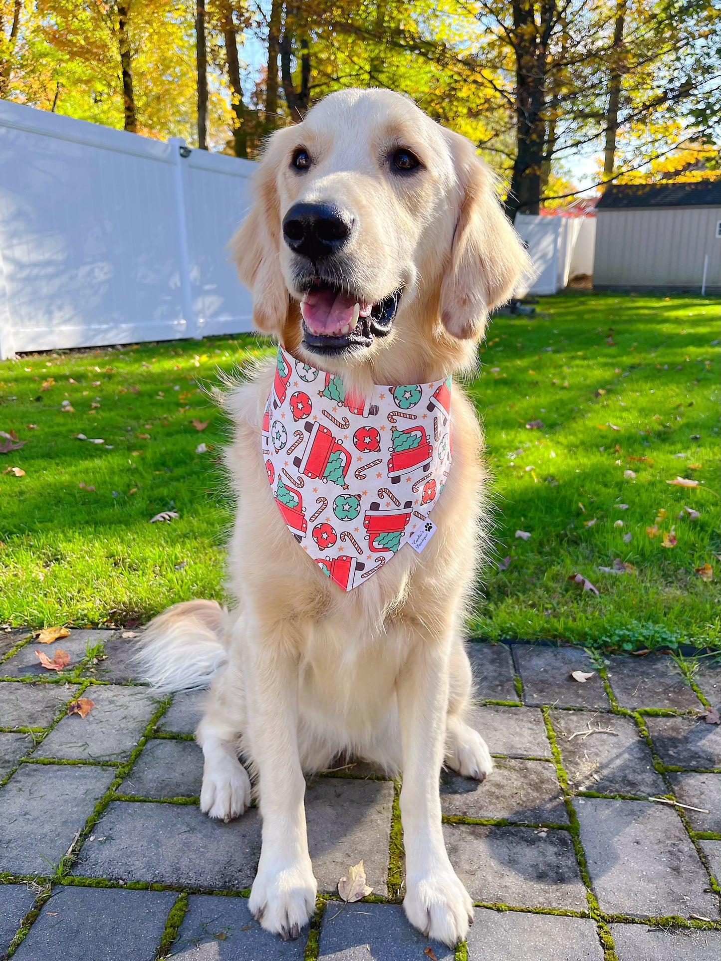 Holiday Truck and Tree Stripe Bandana