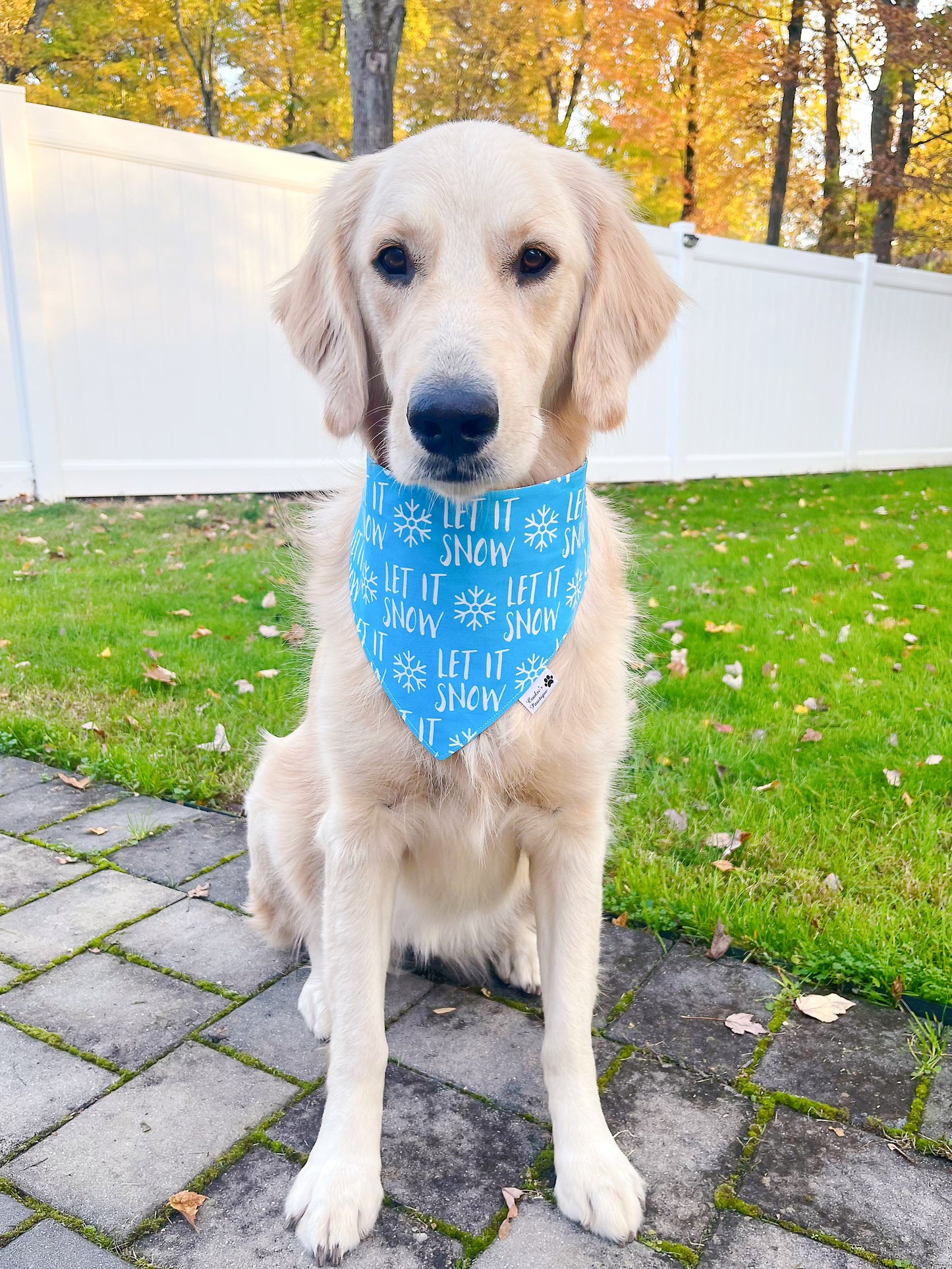 Let It Snow Bandana