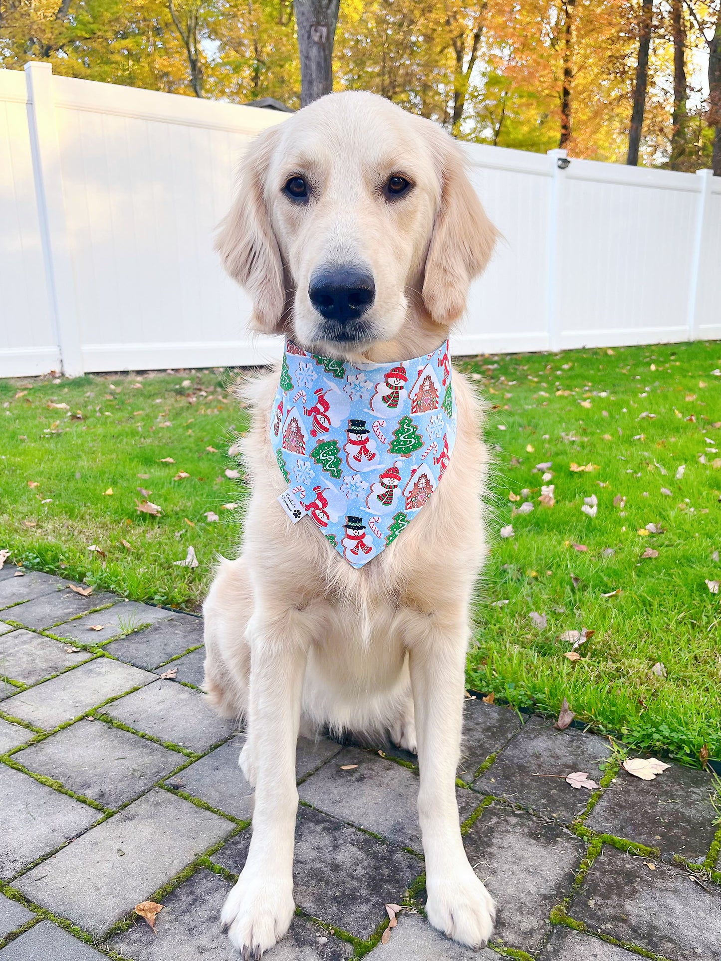 Let It Snow Bandana