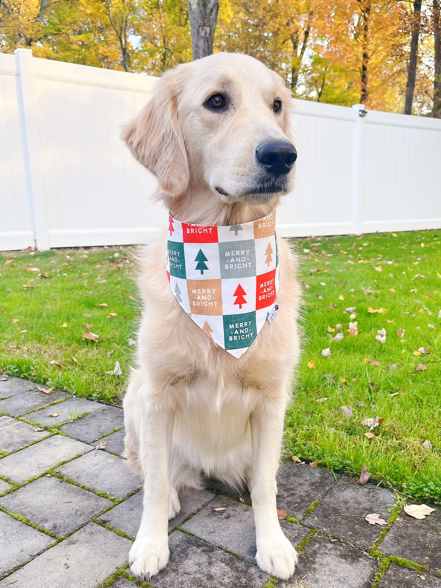 Merry and Bright Bandana
