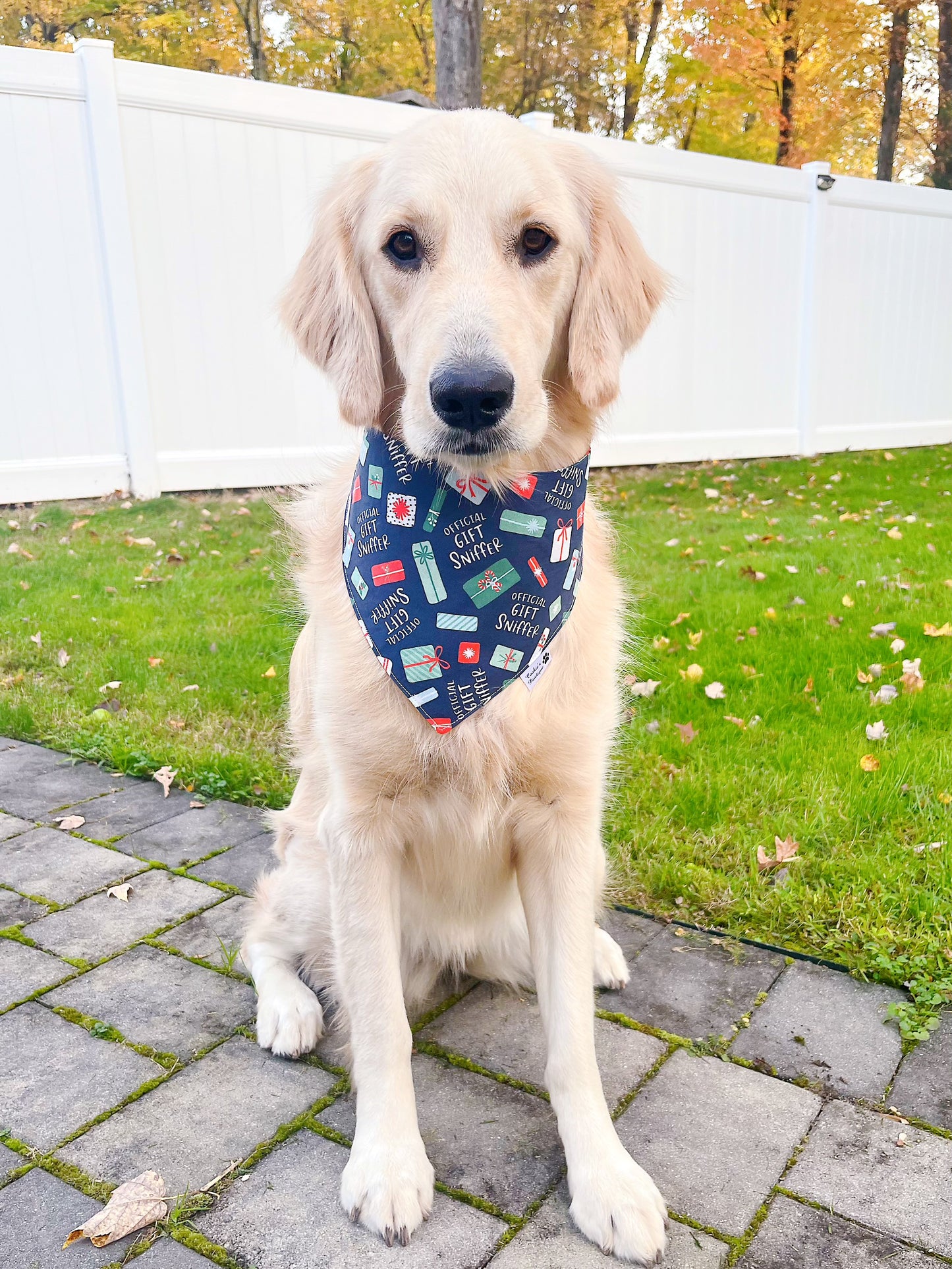 Official Gift Sniffer Bandana