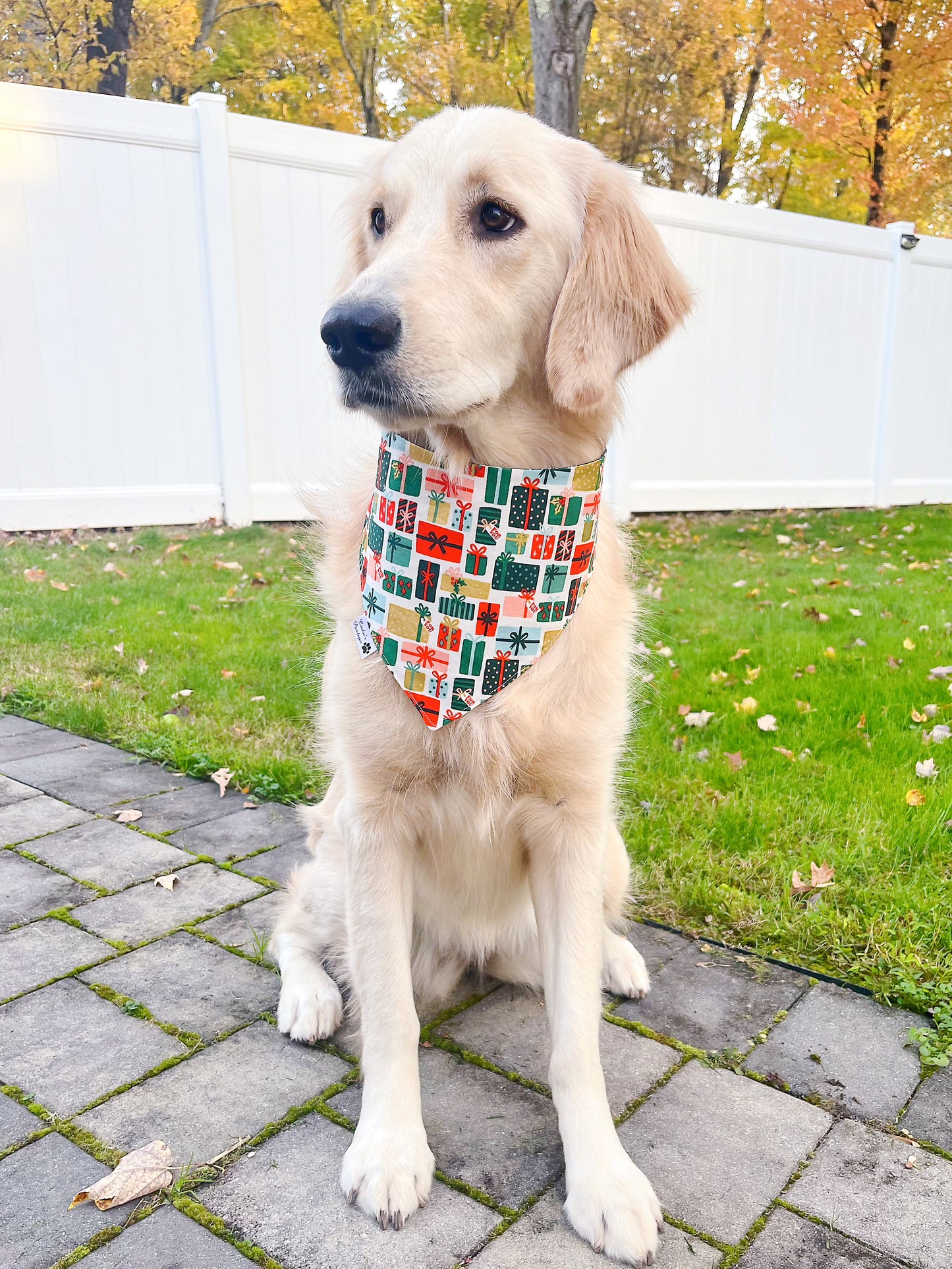 Official Gift Sniffer Bandana