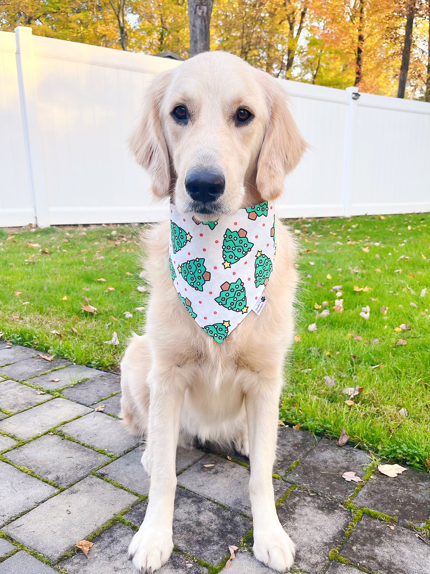 Cute Christmas Trees And Peppermint Ornaments Bandana