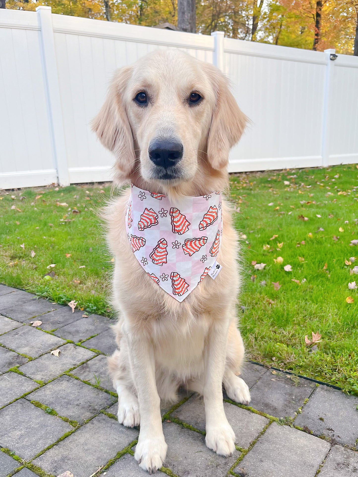 Christmas Tree Cakes and Checkerboard Bandana