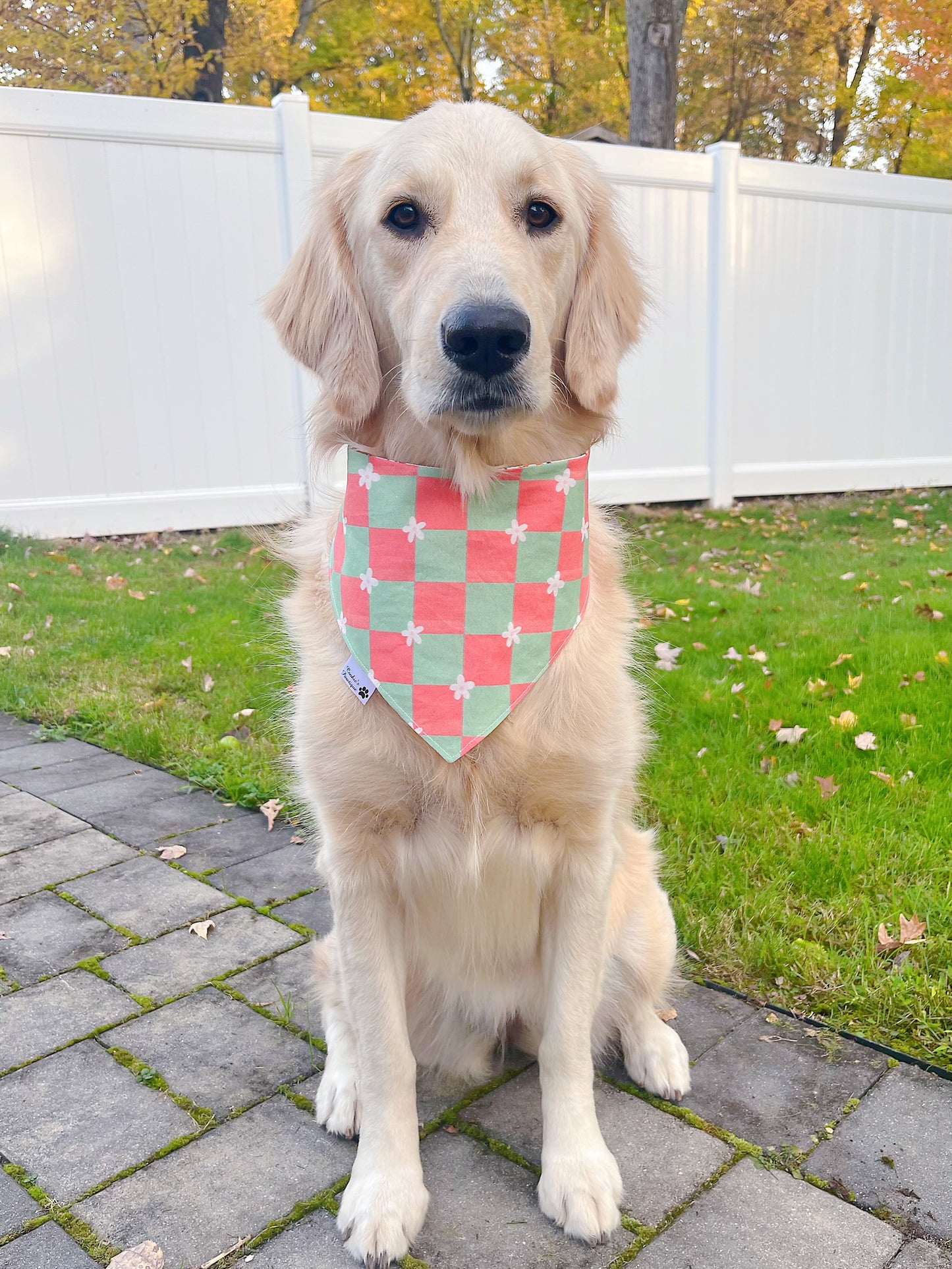 Christmas Tree Cakes and Checkerboard Bandana