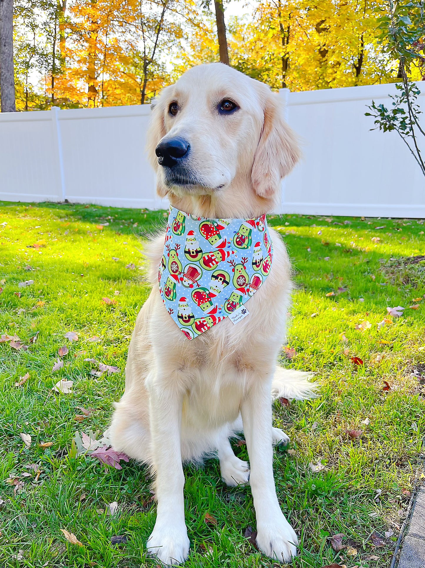 Festive Avocados Bandana