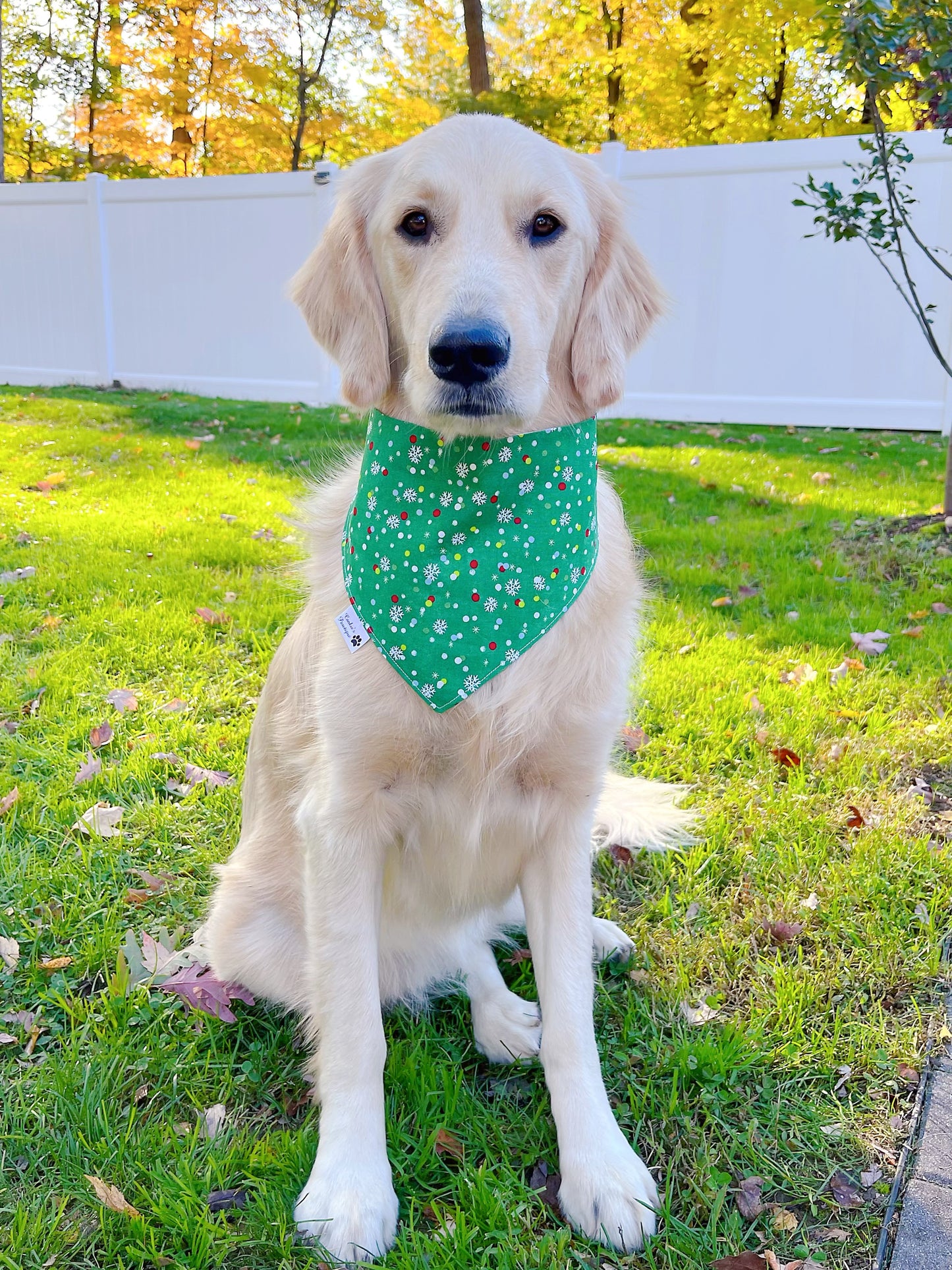 Festive Avocados Bandana