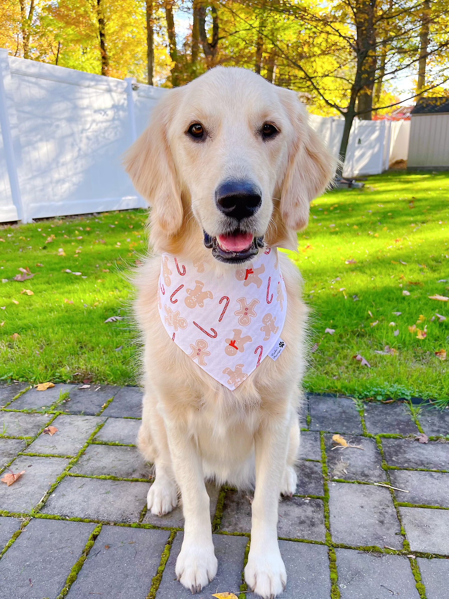Gingerbread Men & Candy Canes Bandana