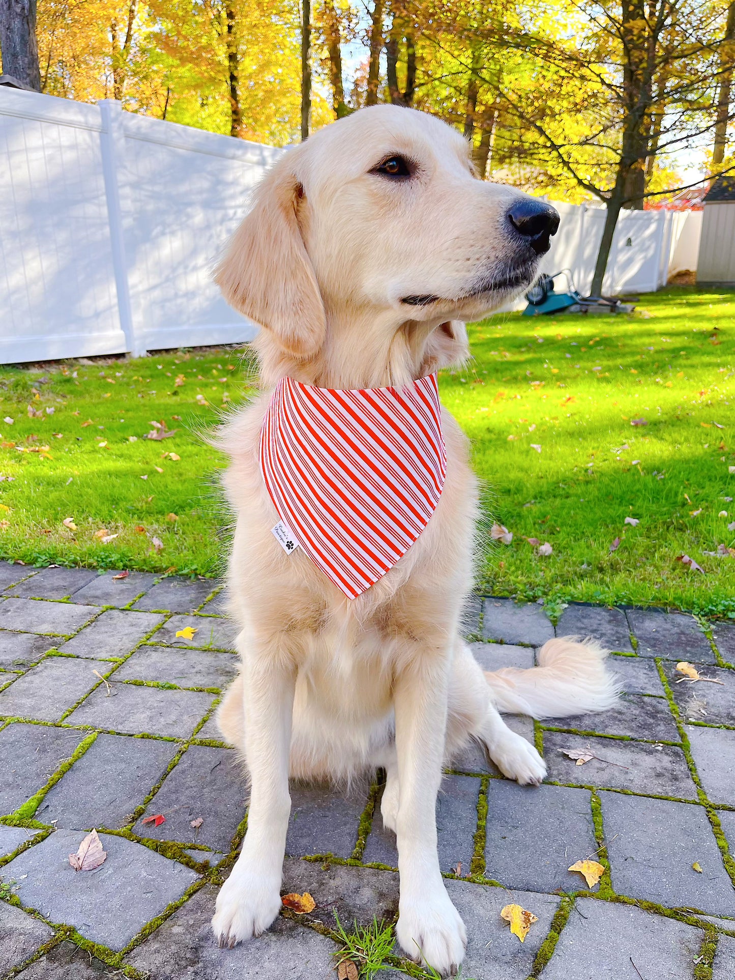 Gingerbread Men & Candy Canes Bandana