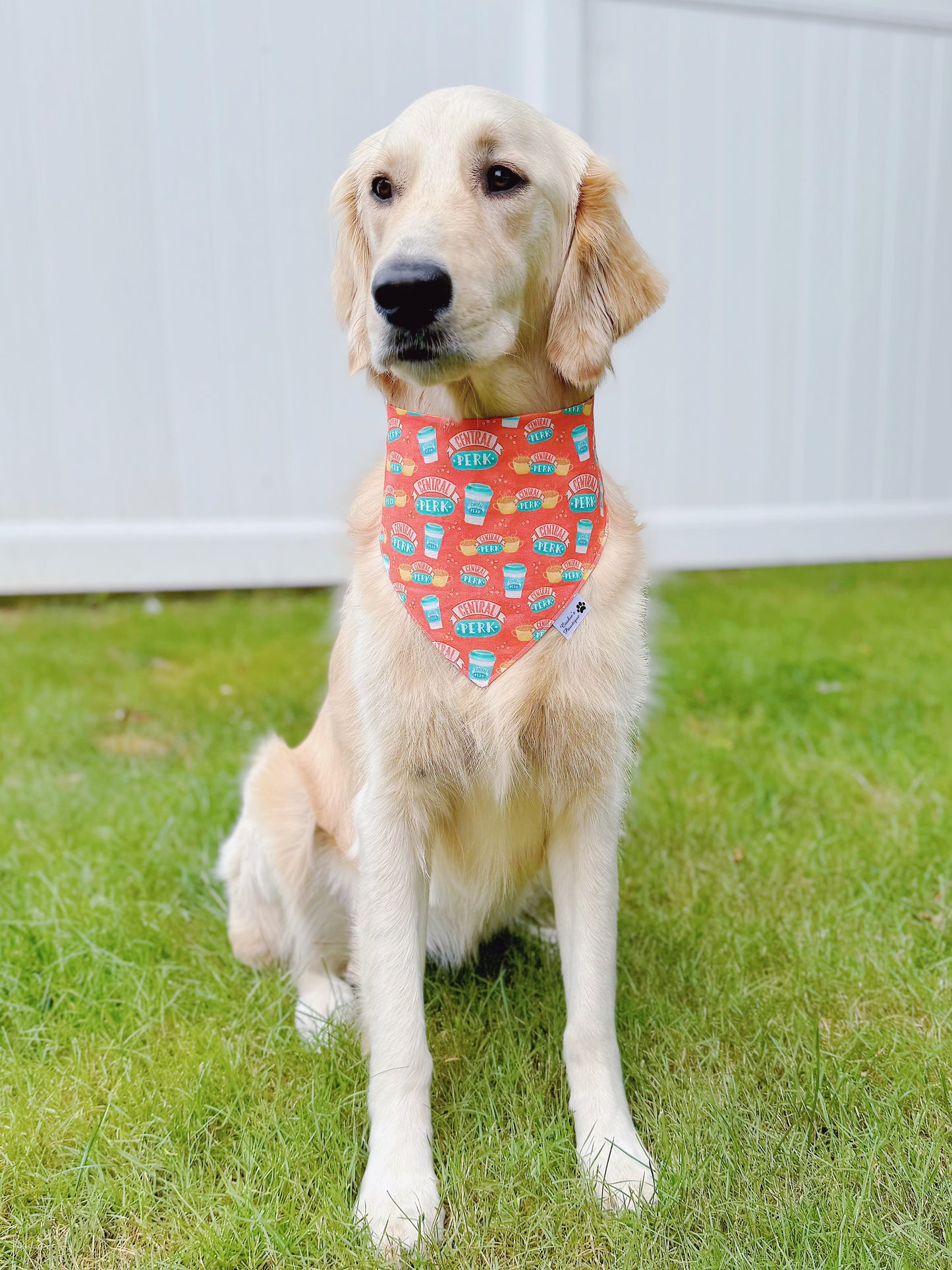 Friends Central Perk Bandana