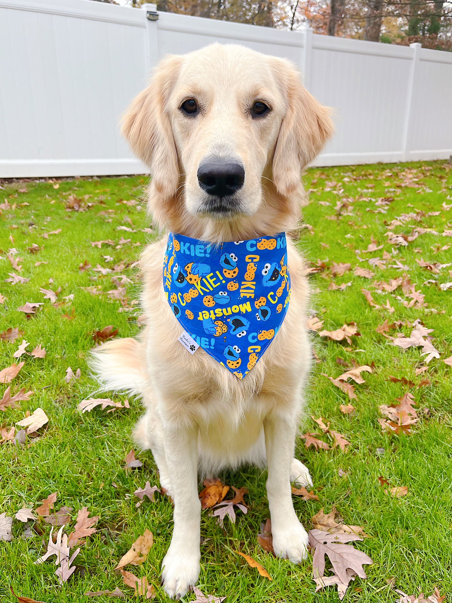 Sesame Street Bandana