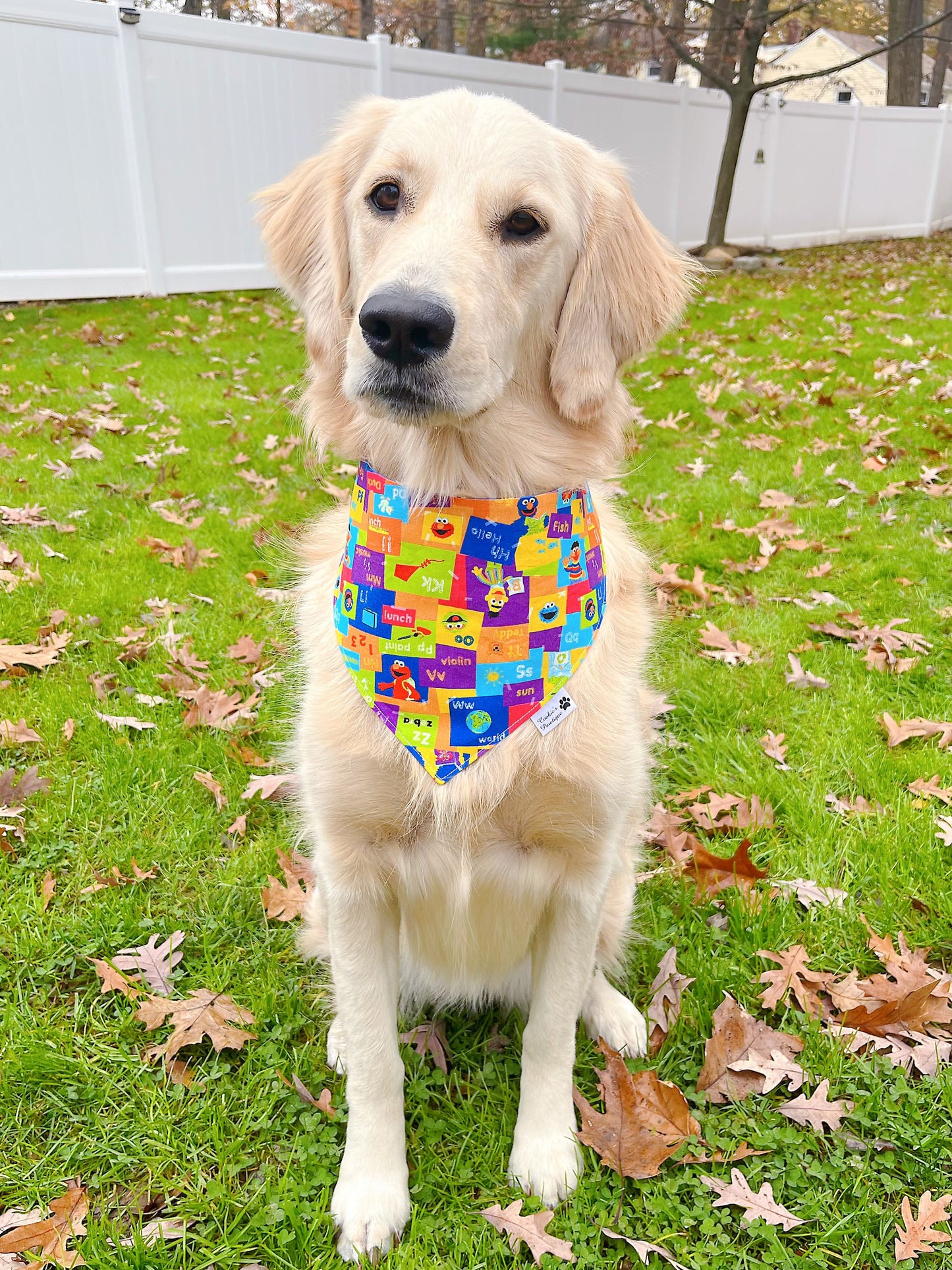 Sesame Street Bandana