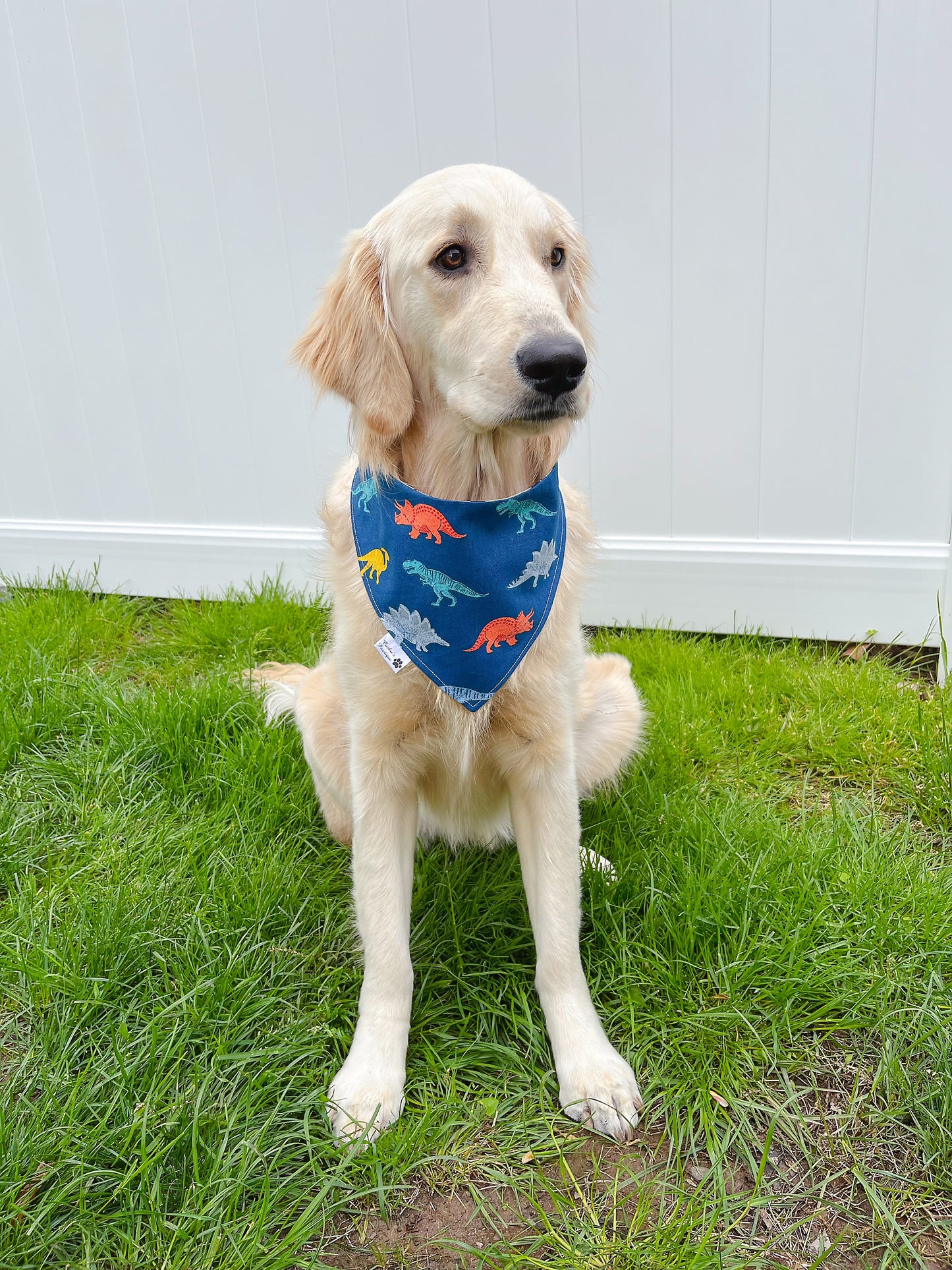 Super Dino Bandana