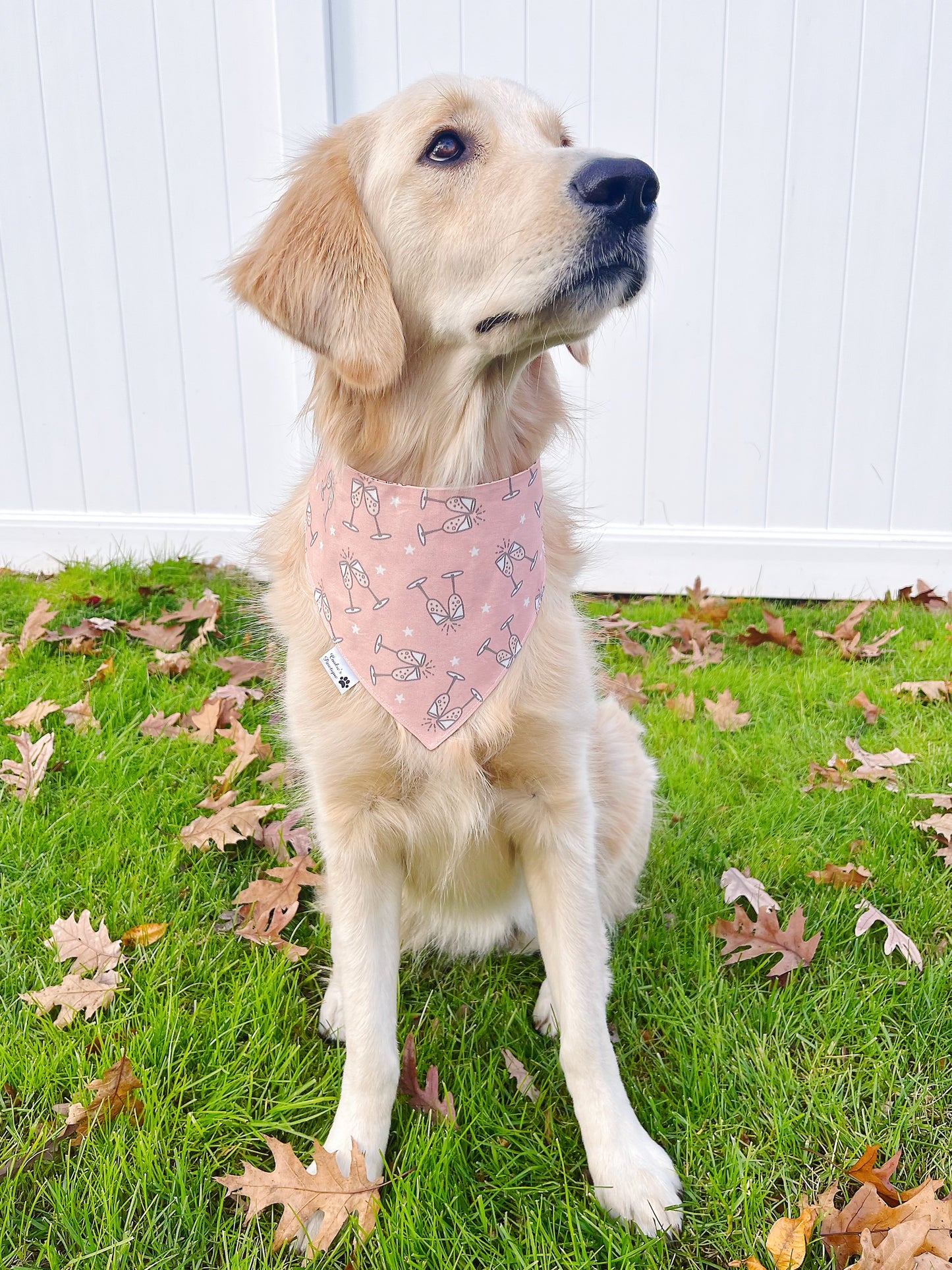 Pink New Year Bandana