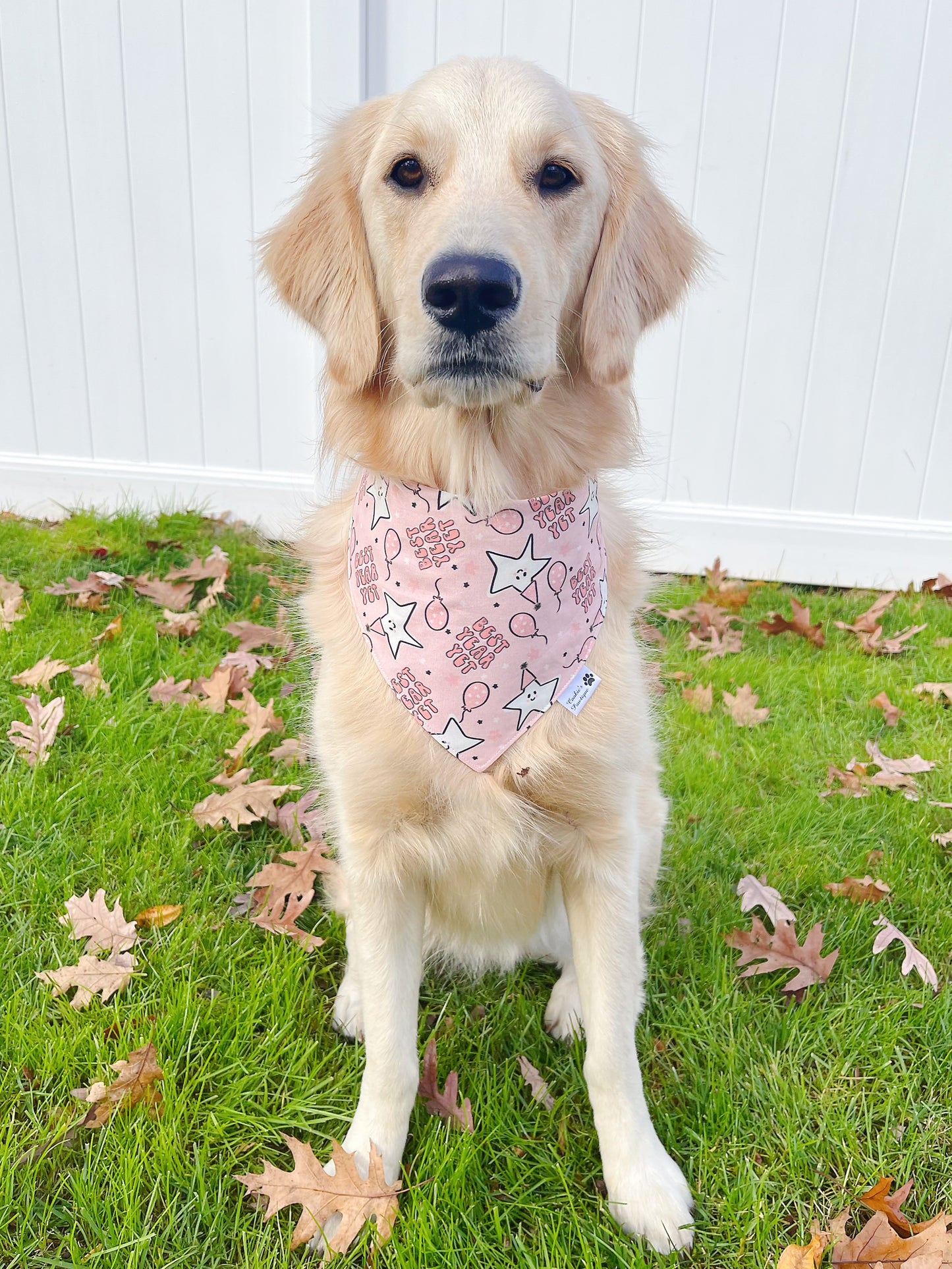 Pink New Year Bandana