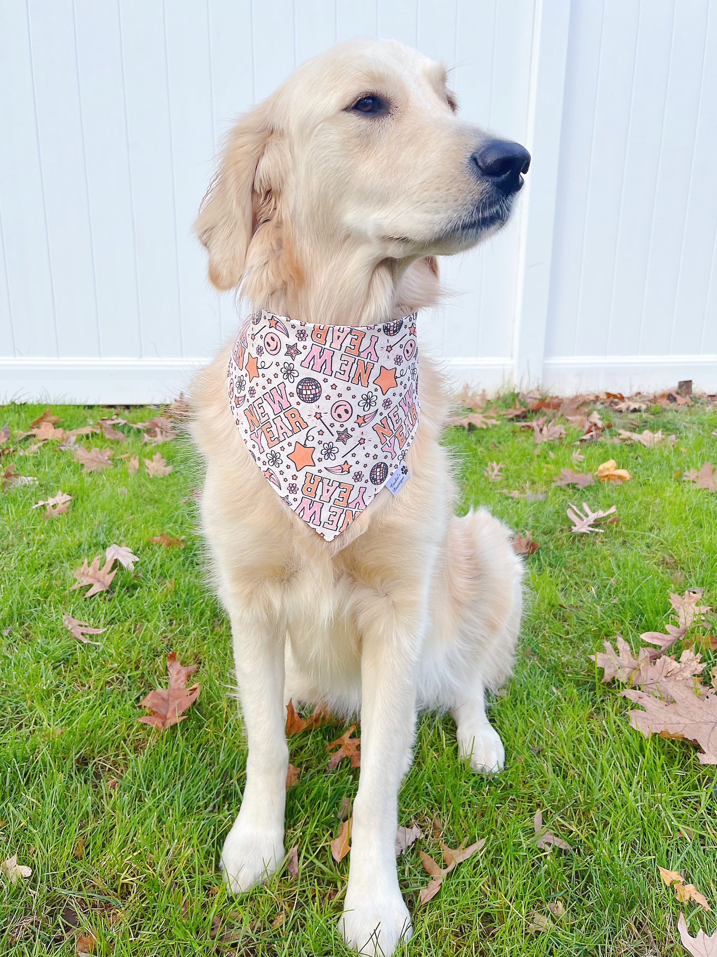 Magical New Year Bandana