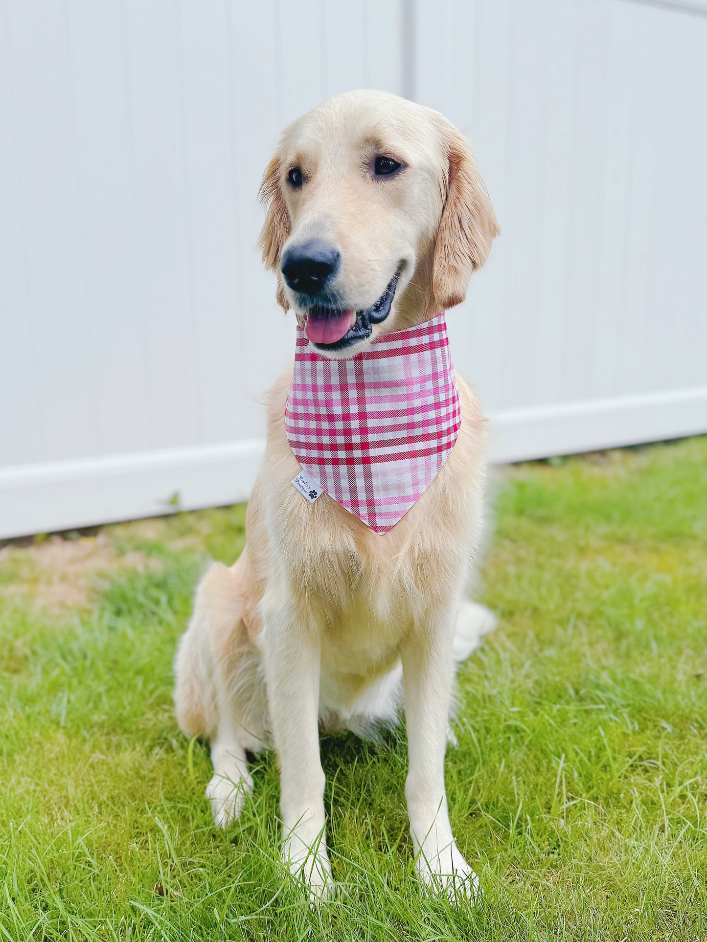 Super Mutt Bandana - Hot Pink