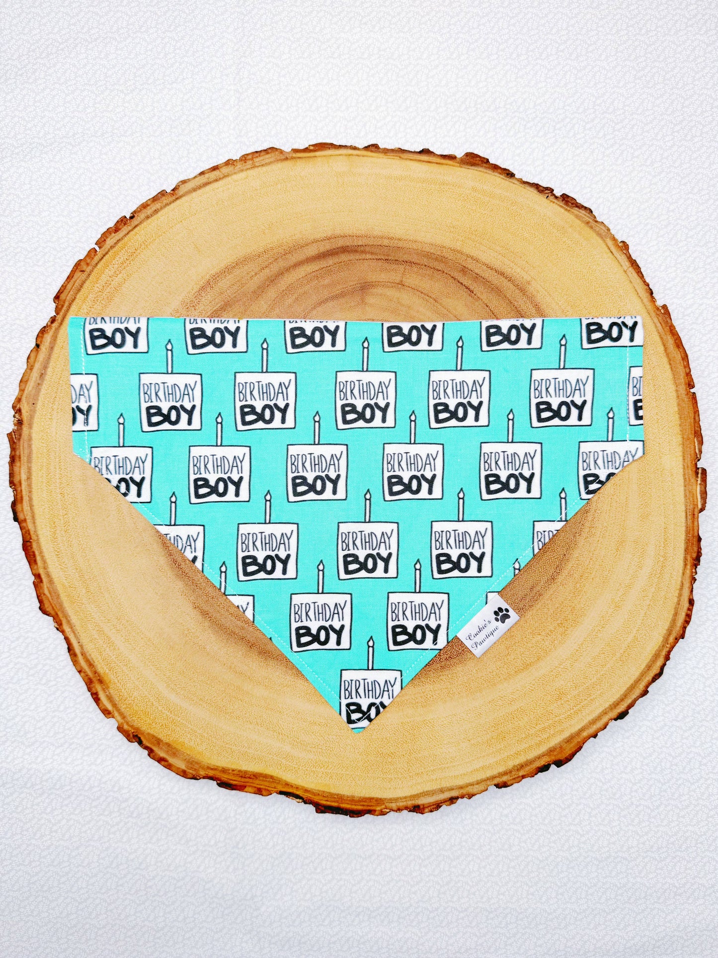 Birthday Boy Bandana - Teal