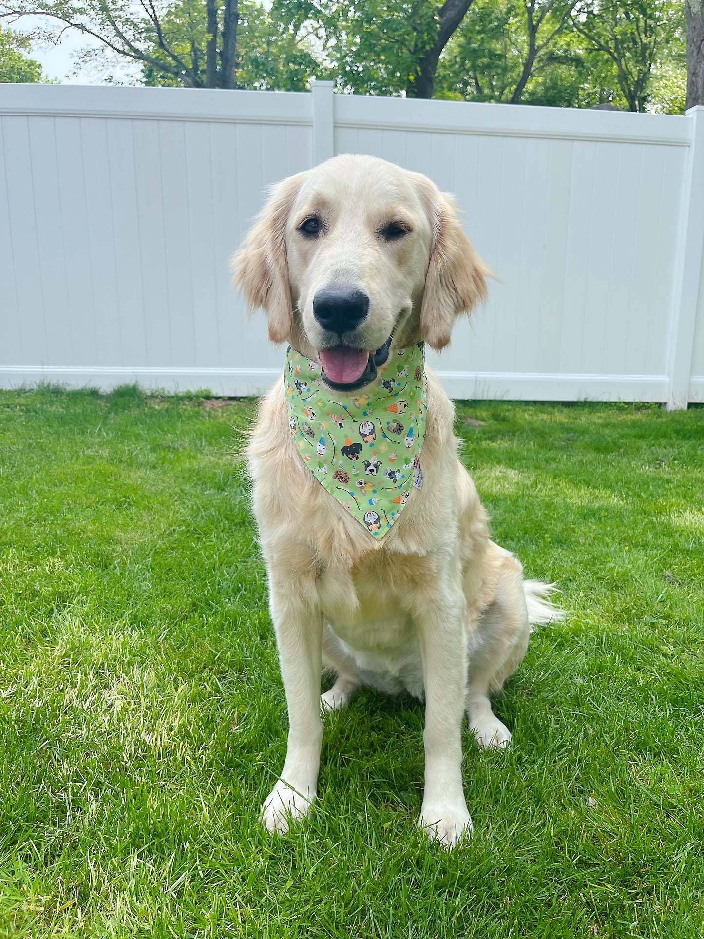 Dog Friends Party Time Bandana