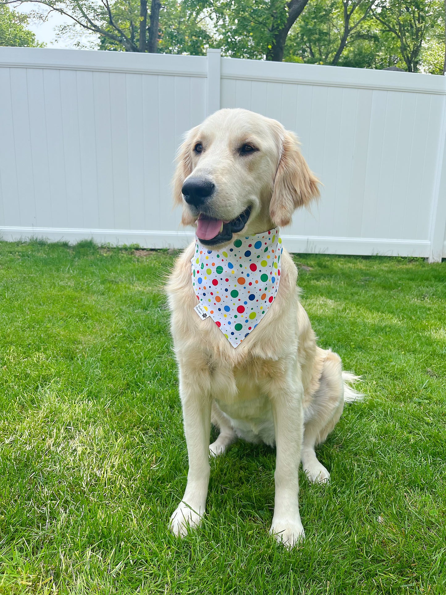 Dog Friends Party Time Bandana