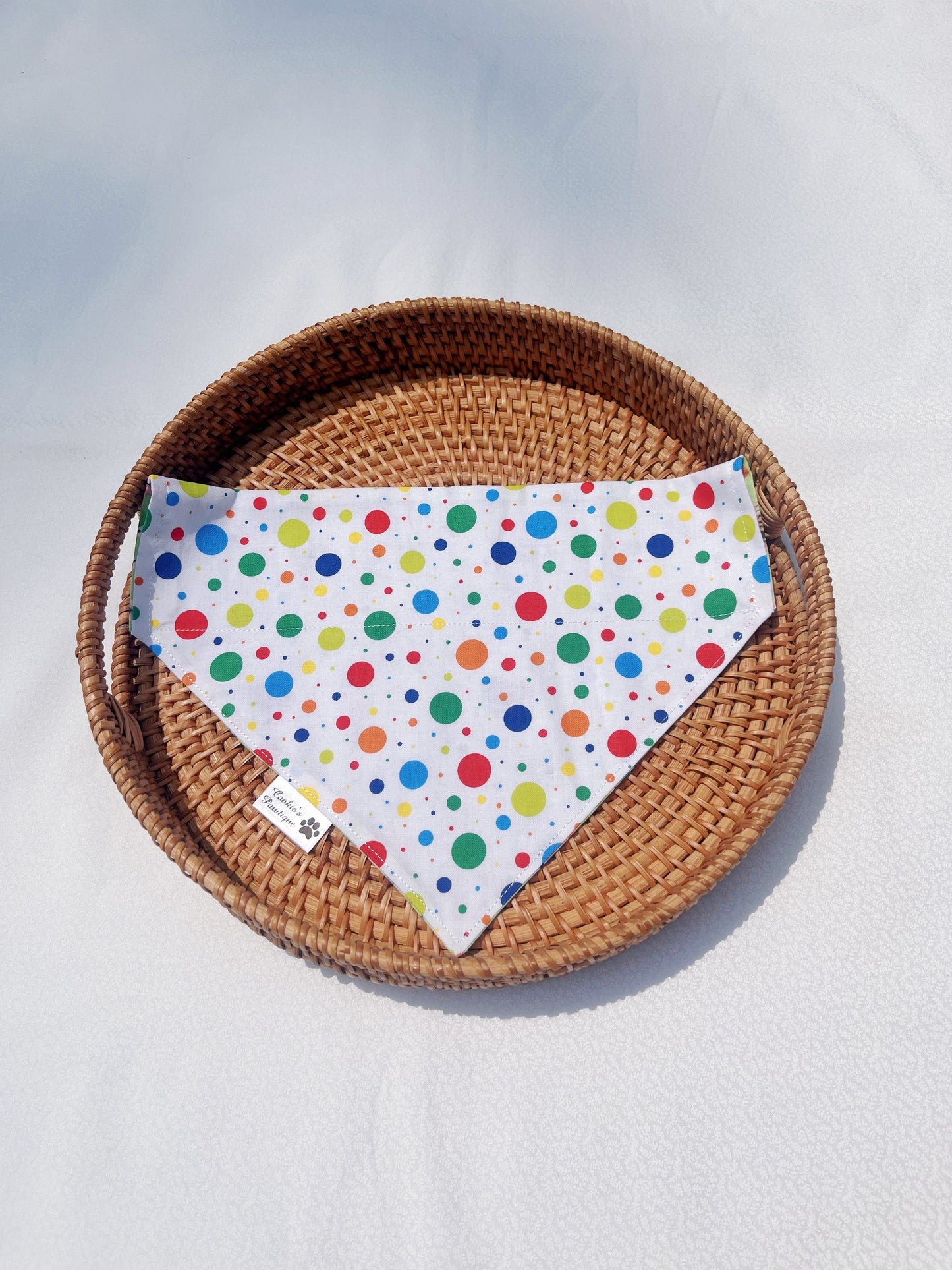 Dog Friends Party Time Bandana