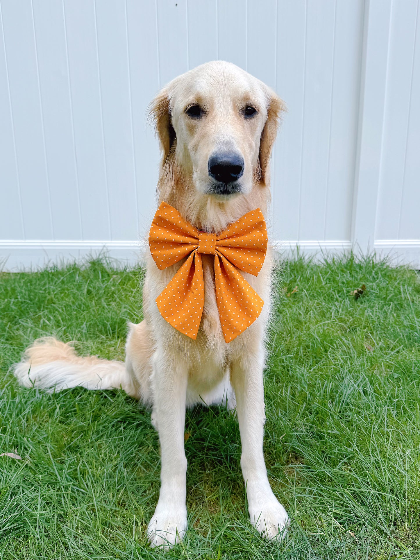 Orange Polka Dots Bow
