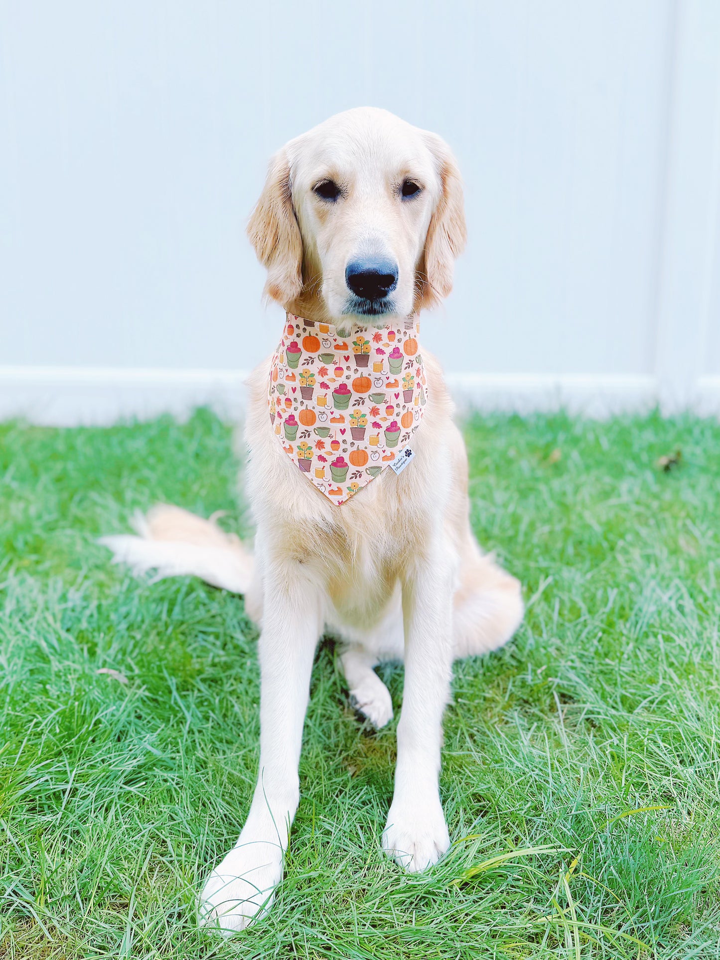 Fall Lover Bandana