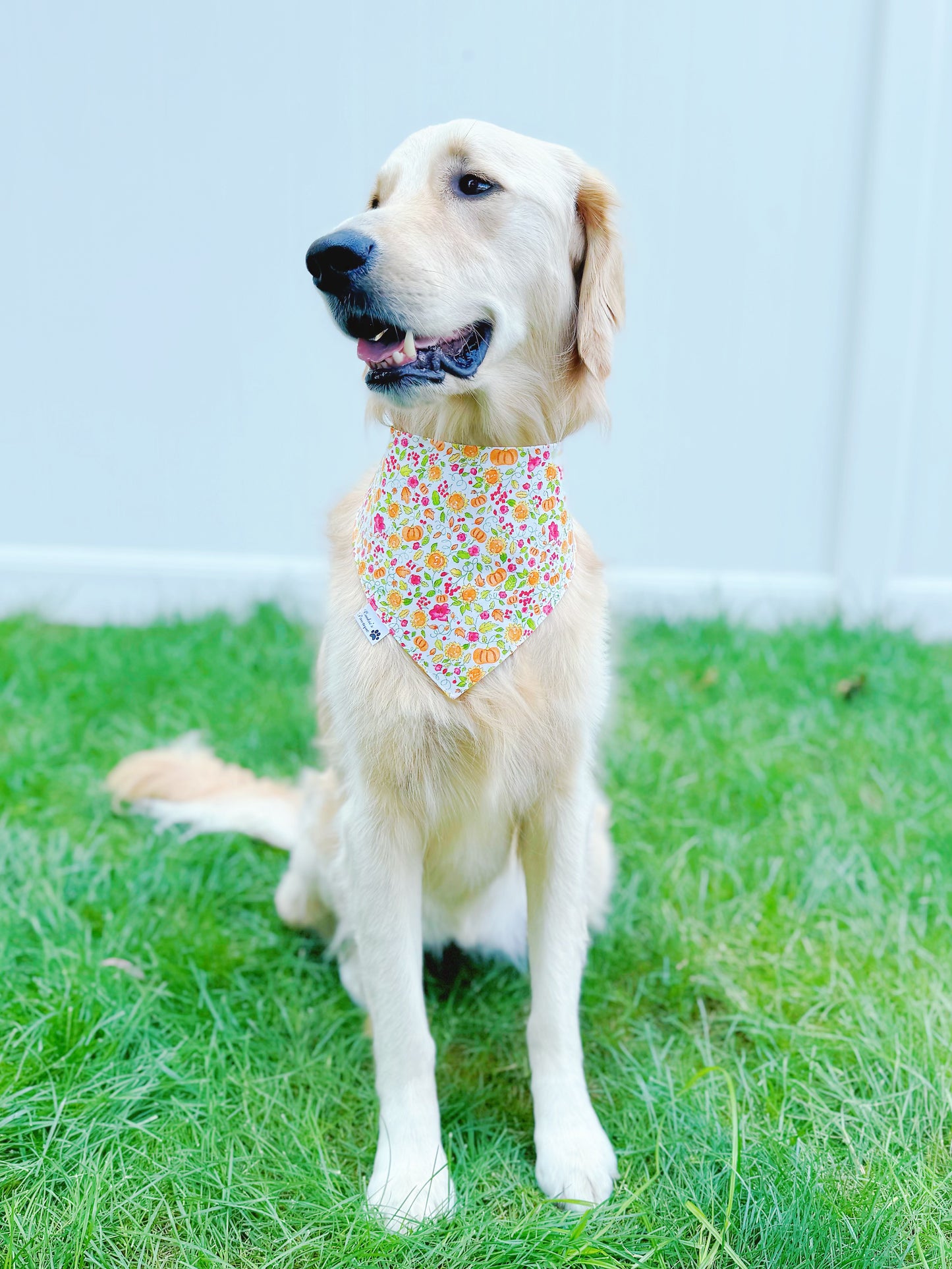 Fall Lover Bandana