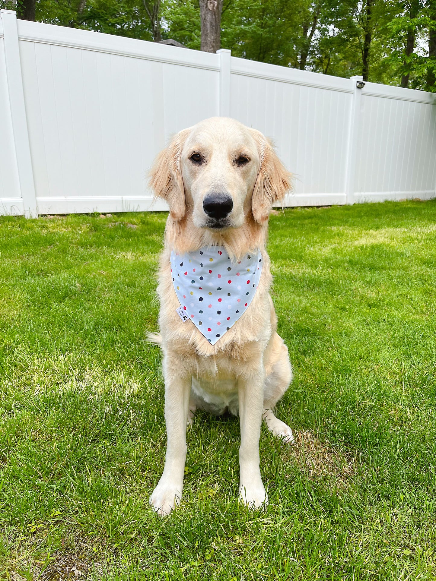 Birthday Boy Bandana - Light Blue