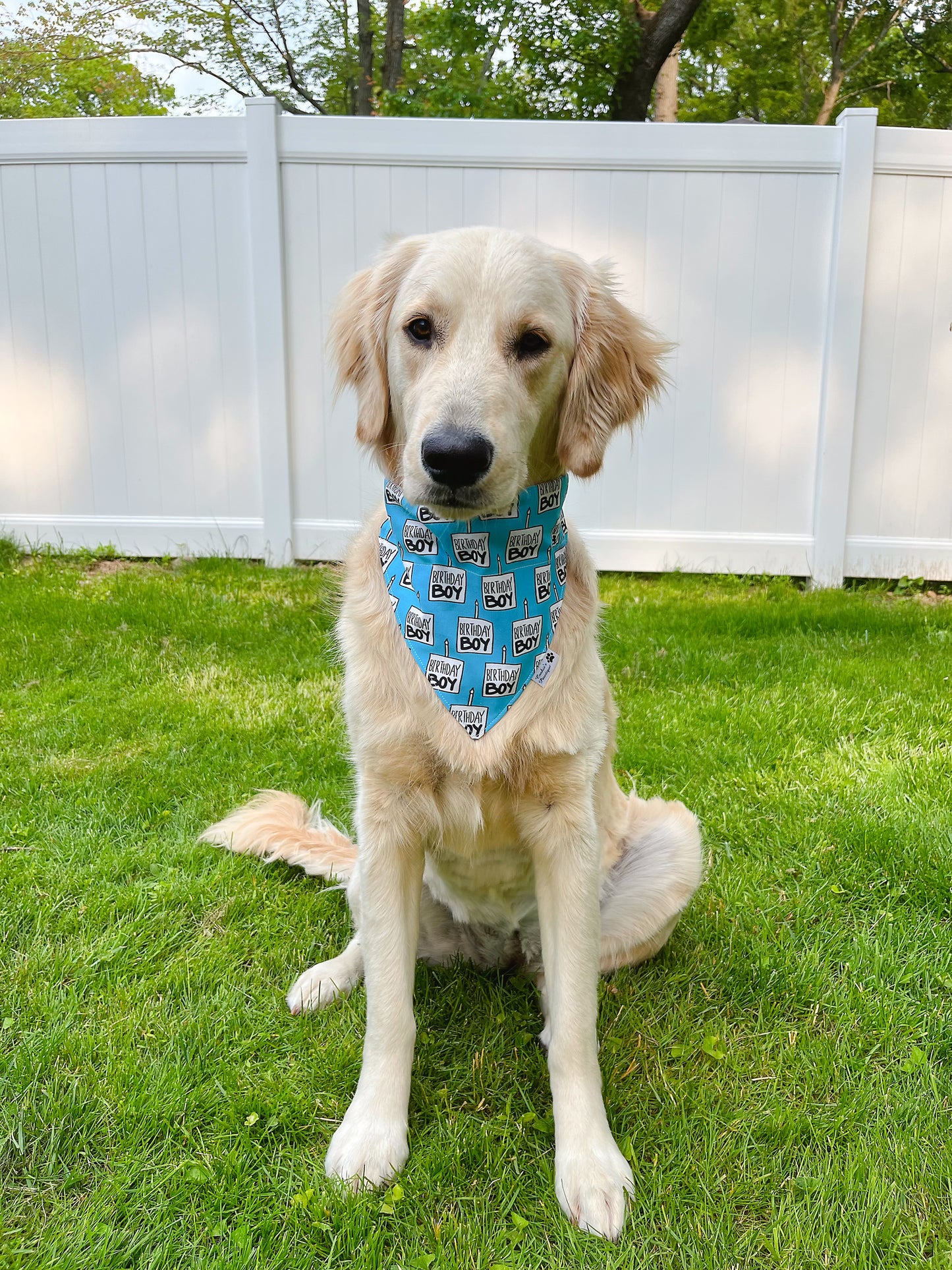 Birthday Boy Bandana