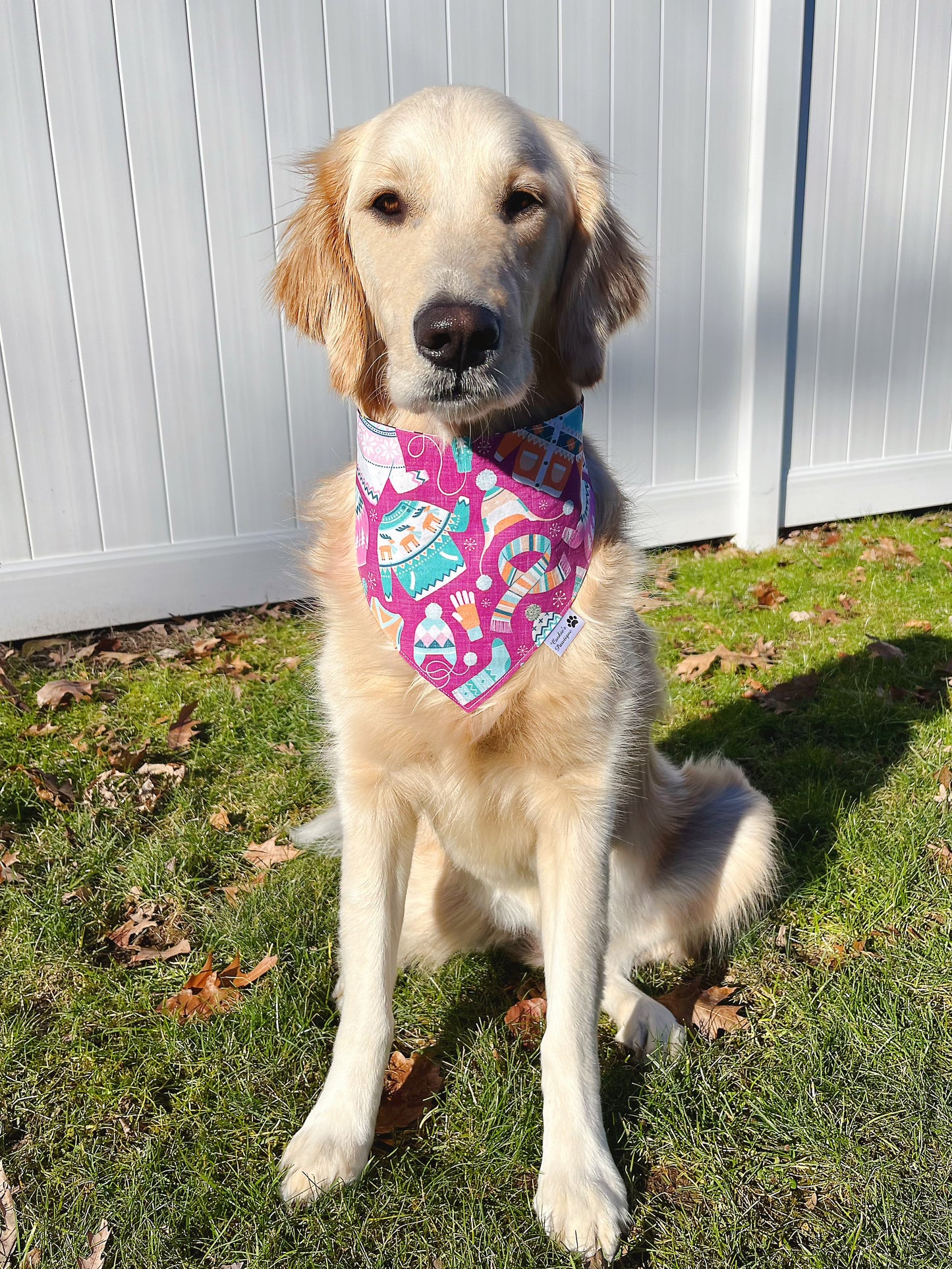 Cozy Winter Bandana